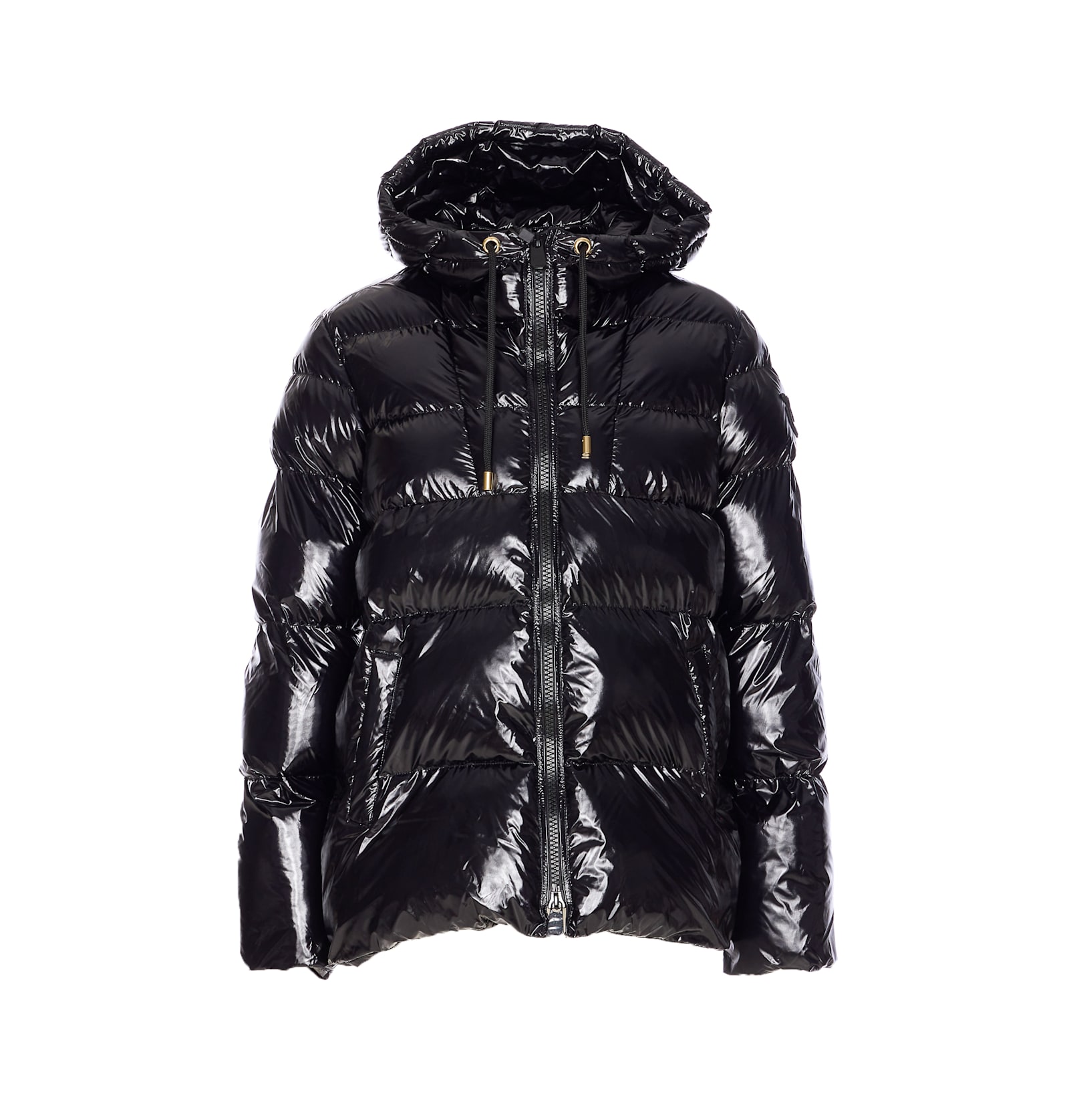 Pinko Eleodoro Down Jacket In Black