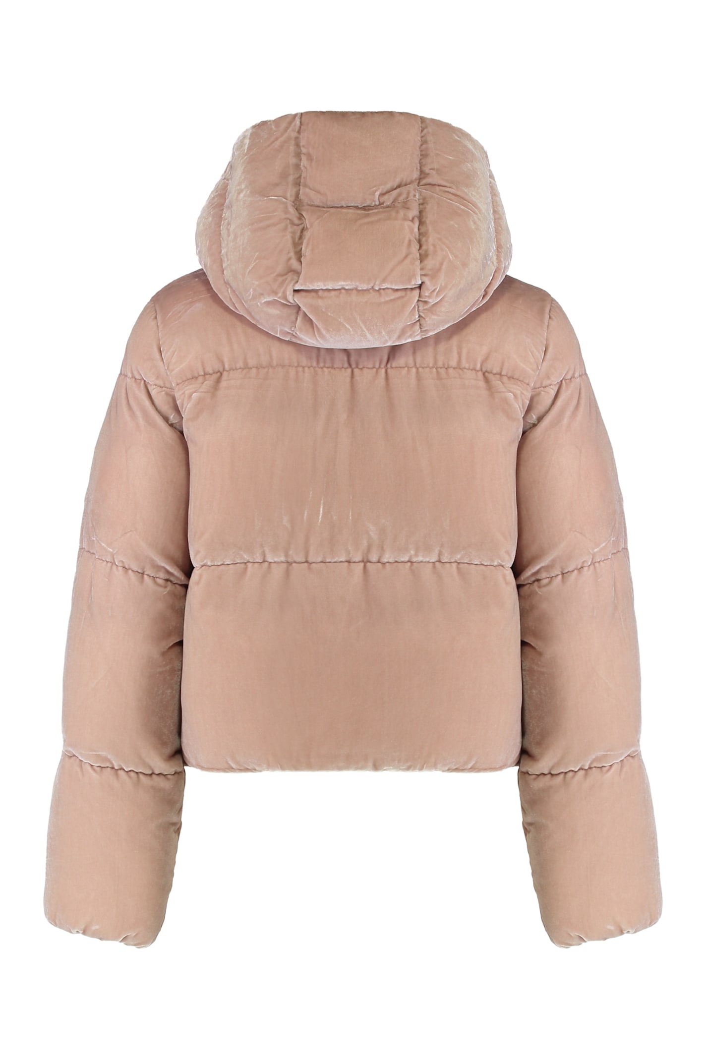 Elisabetta Franchi Linguaggio: Italiano (it) -> Inglese (en)translation: Velvet Puffer Jacket In Brown