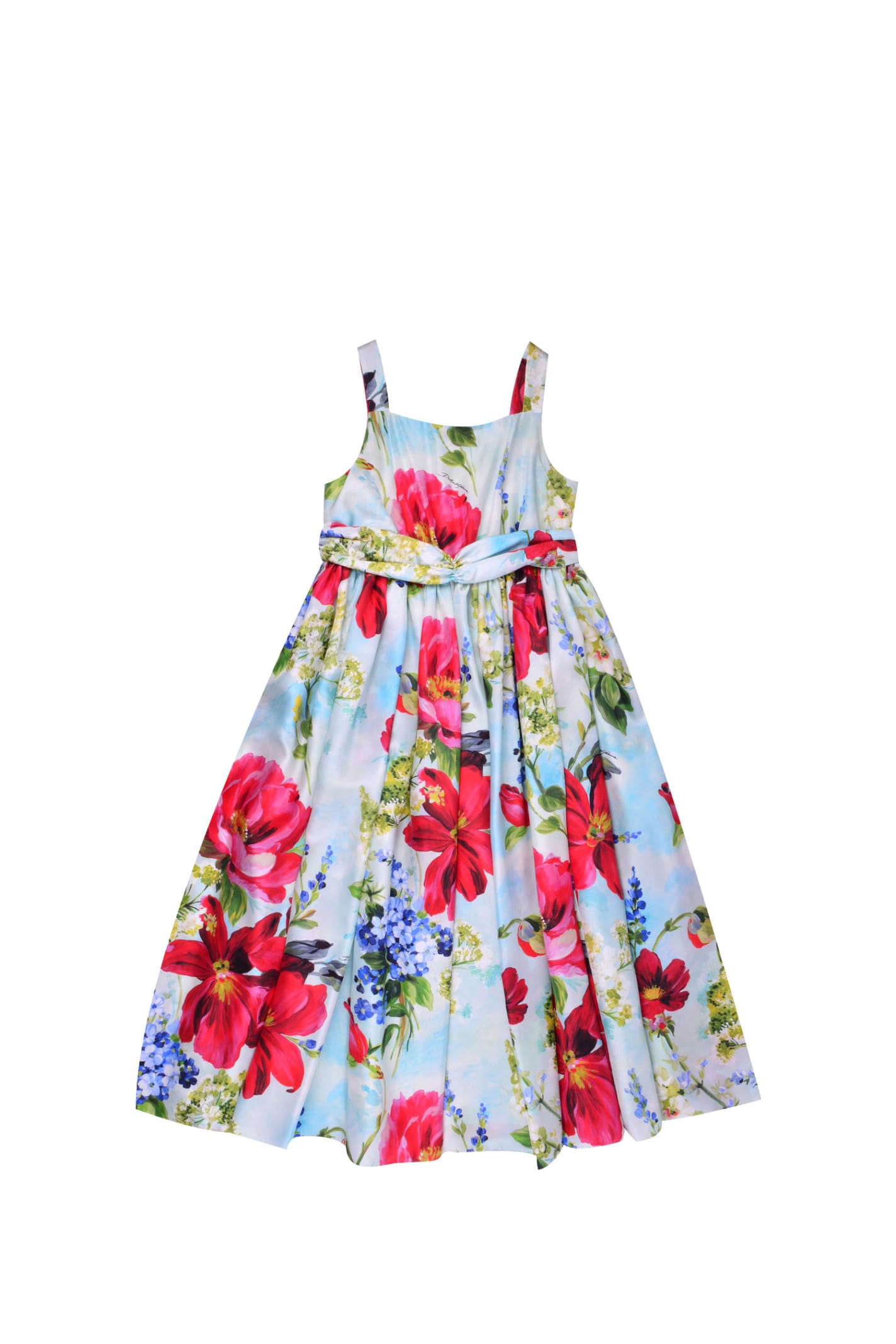Dolce & Gabbana Long Garden-print Chiffon Dress