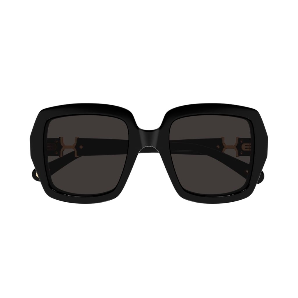 CH0301s 001 Sunglasses