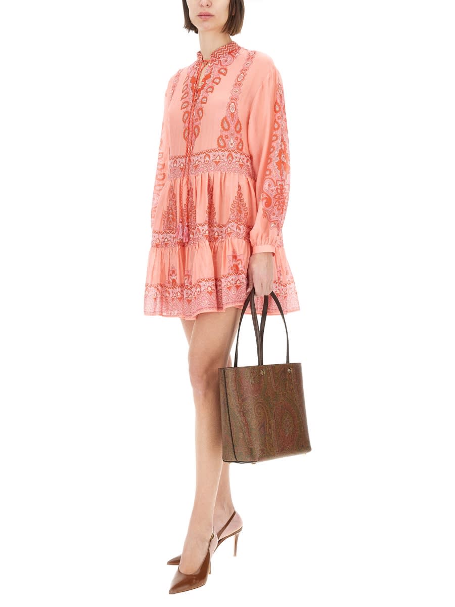 Etro Sheer Paisley Tiered Long Sleeve Tops In Pink