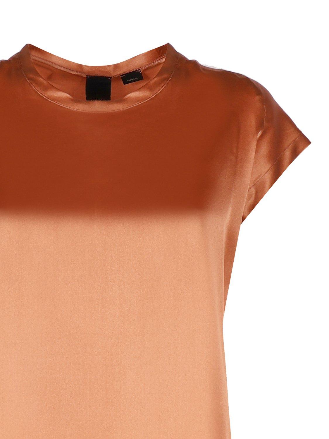 Shop Pinko Crewneck Short-sleeved Blouse In Marrone
