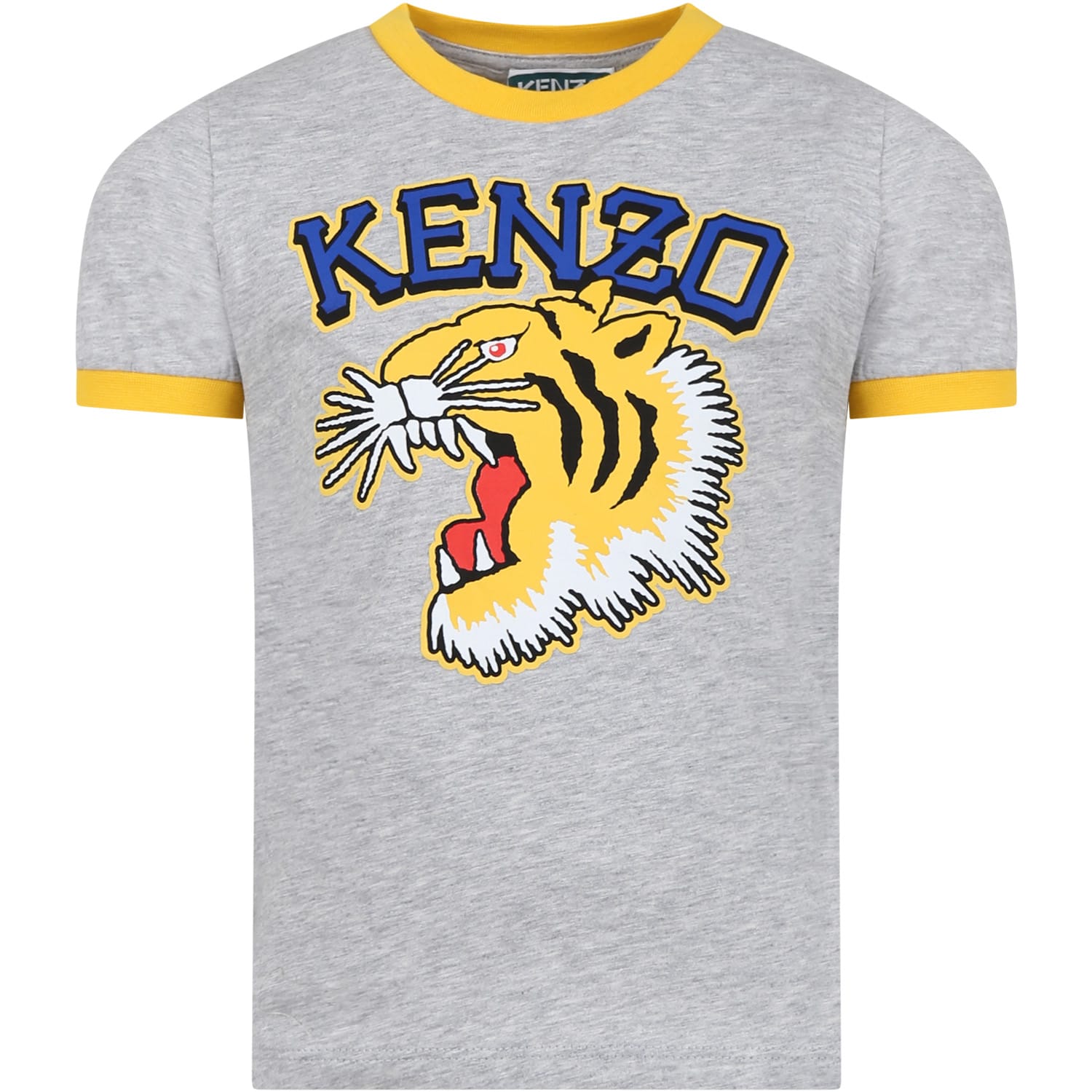 Shop Kenzo Gray T-shirt For Boy With Iconic Tiger And Logo In Grigio Antico