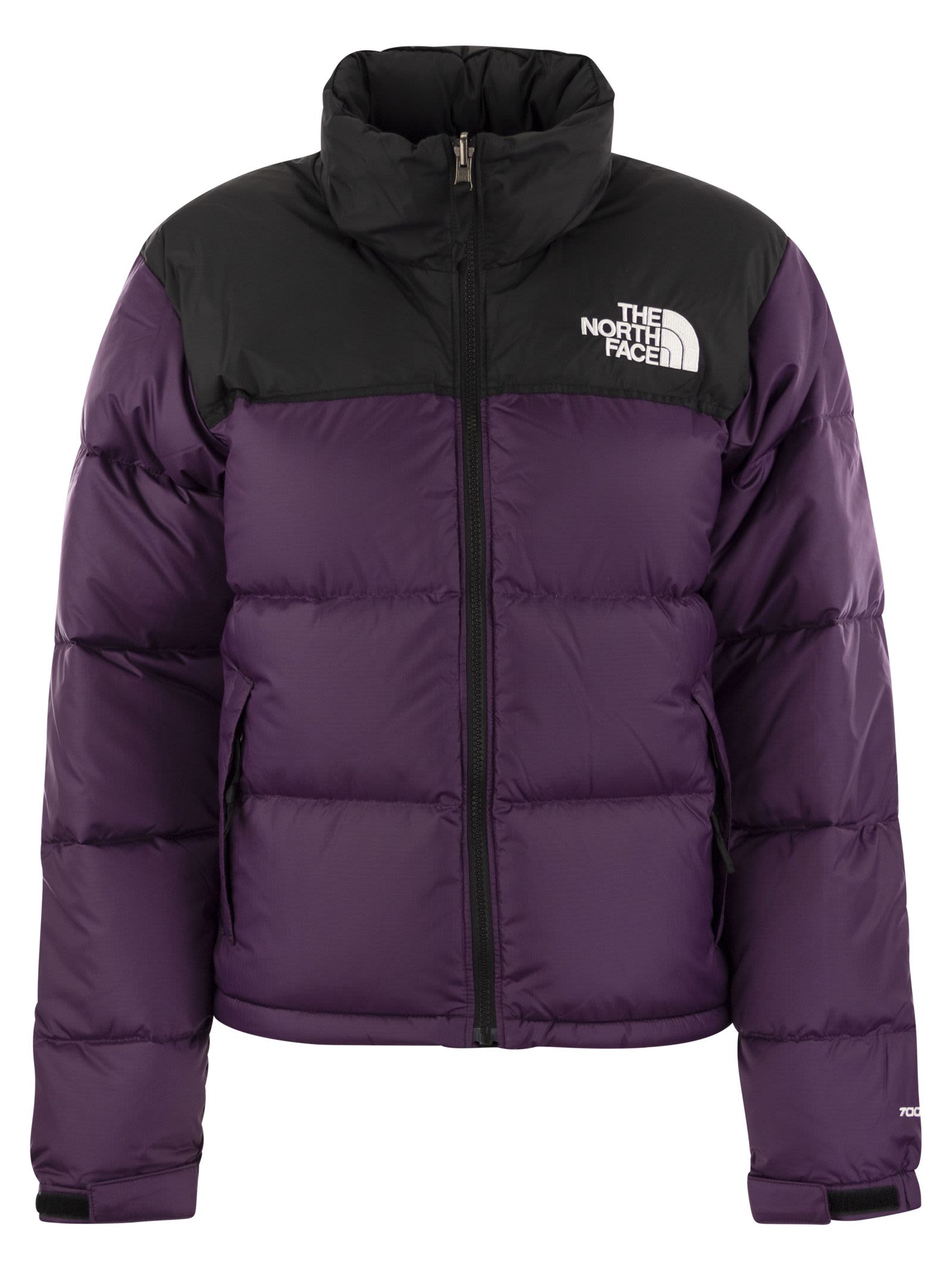 Shop The North Face Retro 1996 - Two-tone Down Jacket