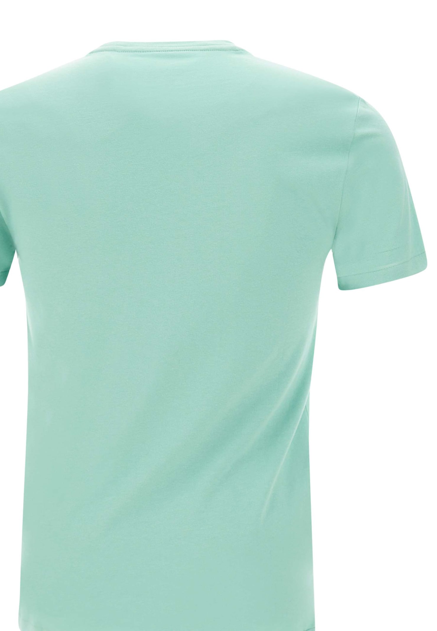 Shop Polo Ralph Lauren Classics Cotton T-shirt In Green