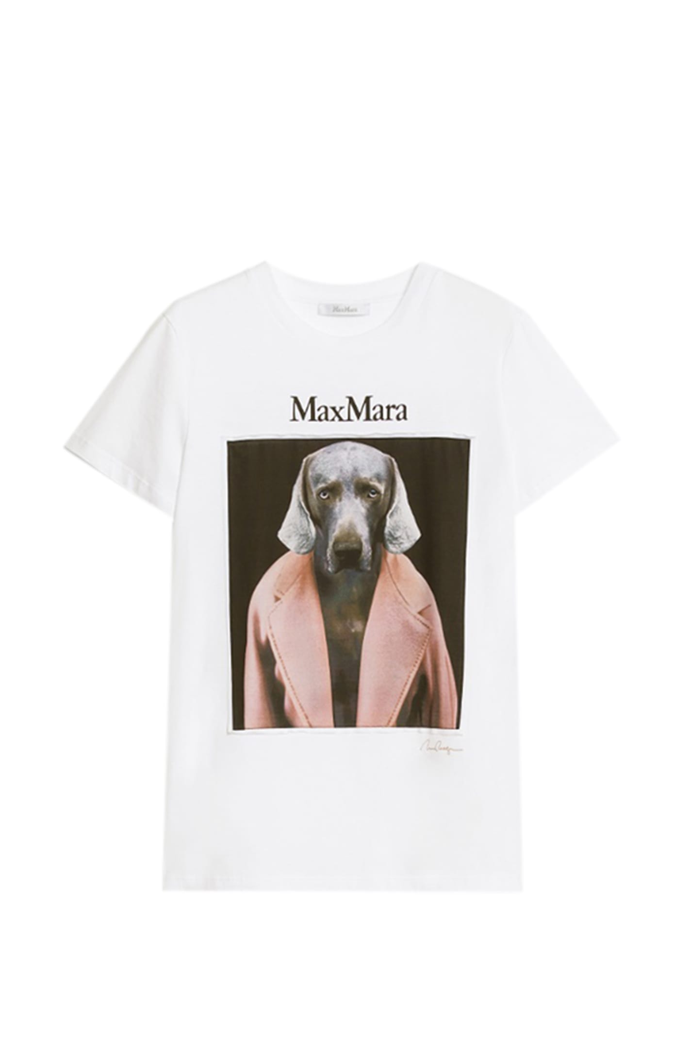 Shop Max Mara Cipria T-shirt In White