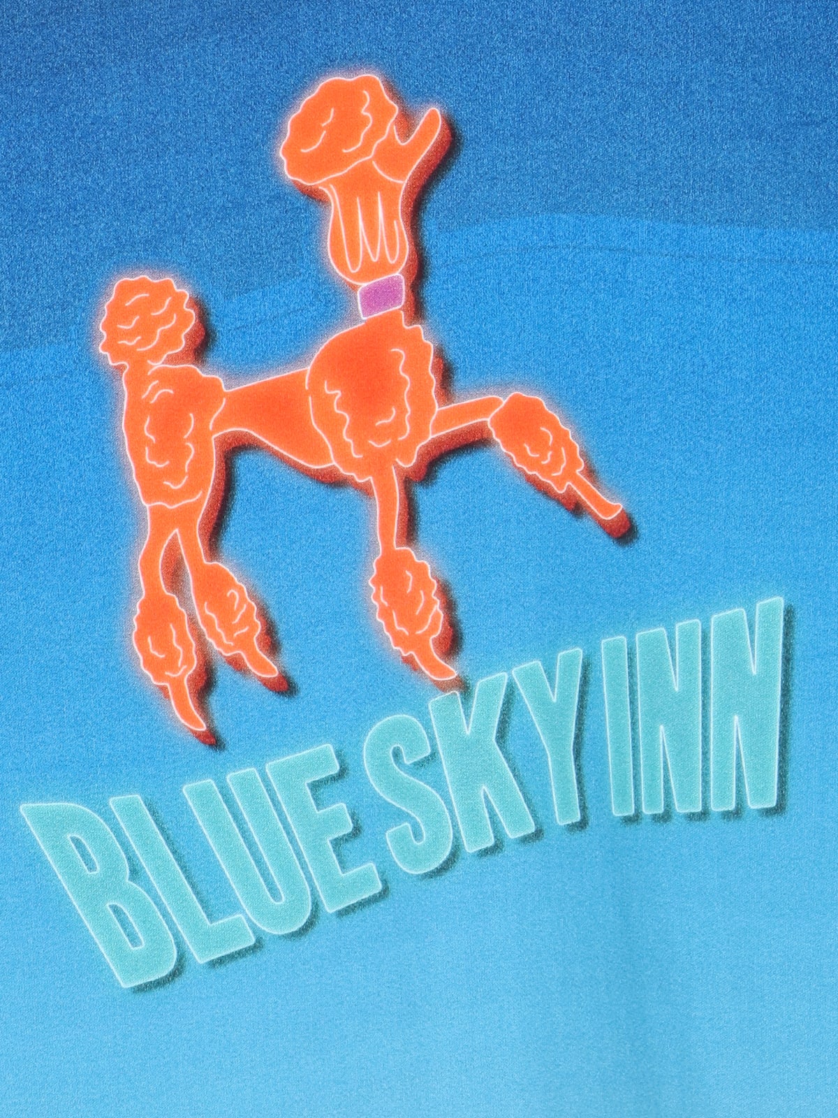 Shop Blue Sky Inn Printed Shirt In Light Blue