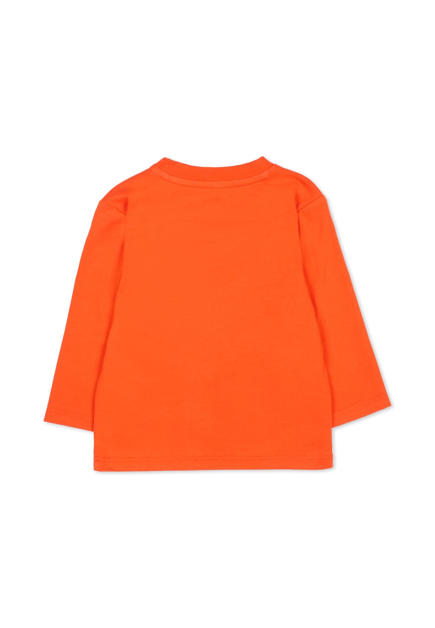 Timberland Red T-shirt For Baby Boy With Tree Print In Orange