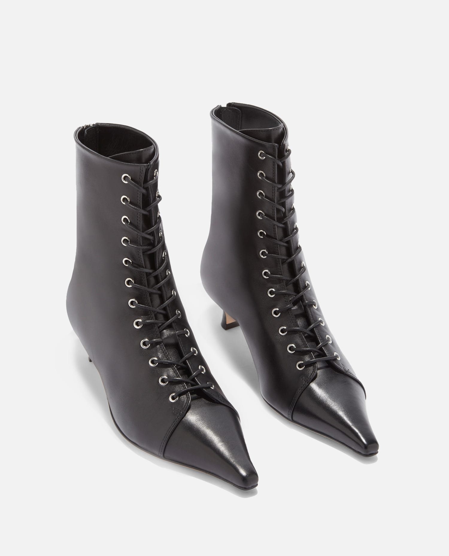 Aeyde 40mm Trixi Lace-up Pointed-toe Boots In Black
