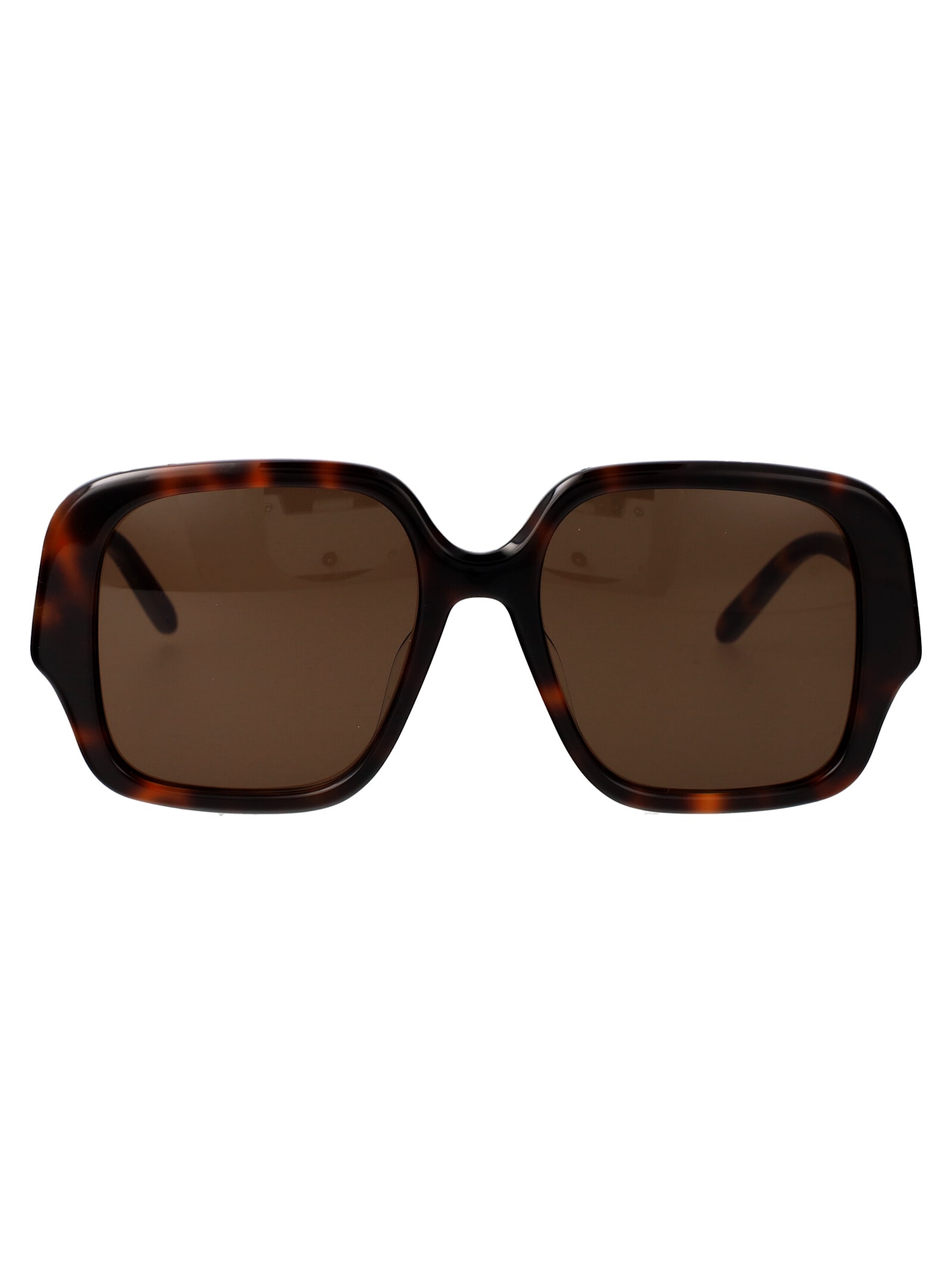 Loewe Lw40134u Sunglasses In Brown