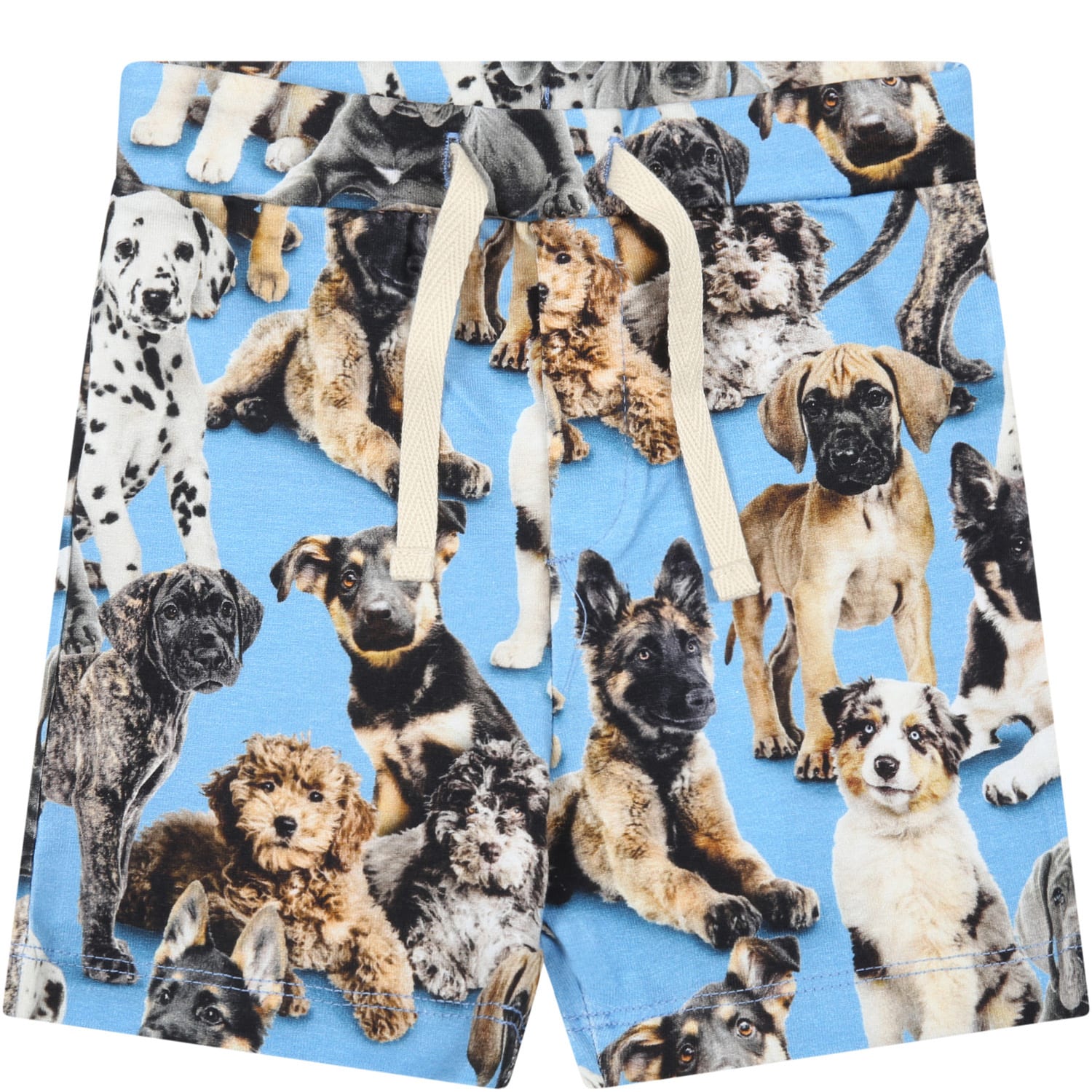 Molo Light-blue Short For Baby Boy With Dogs