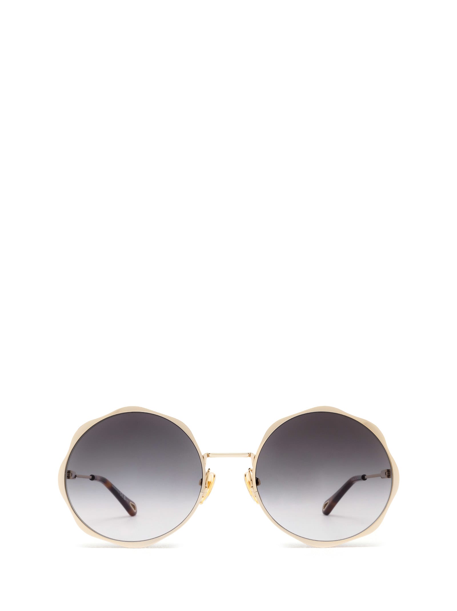 Shop Chloé Ch0184s Gold Sunglasses