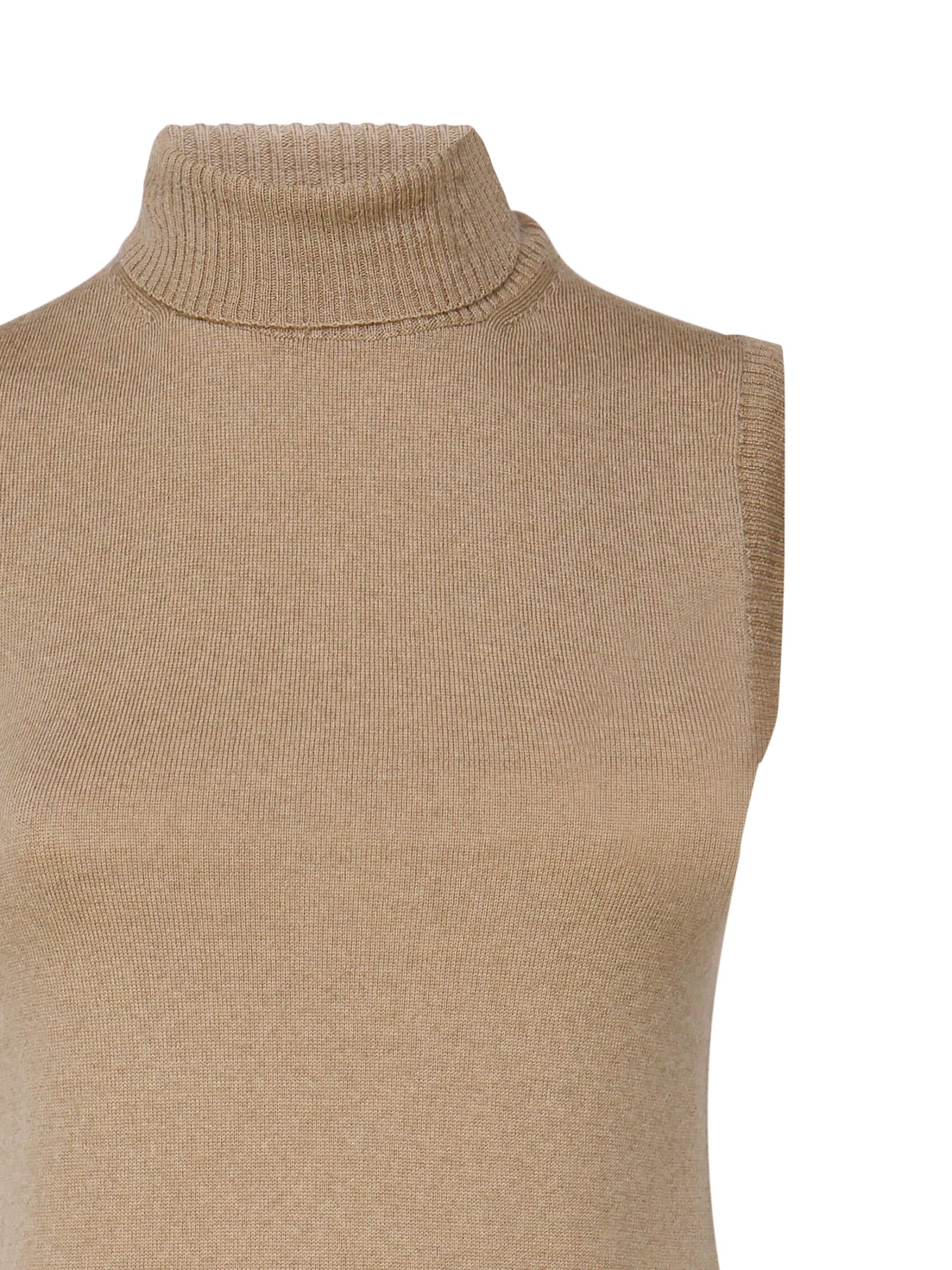 Shop Sportmax Ardenza Top With Turtelneck In Camel