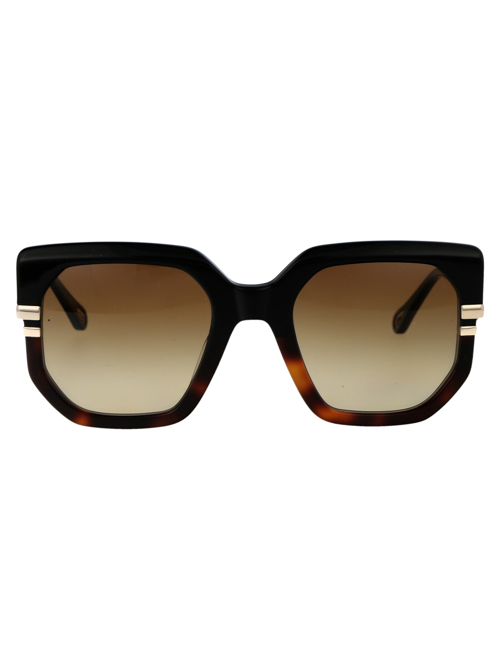 Shop Chloé Ch0240s Sunglasses In 003 Black Black Brown