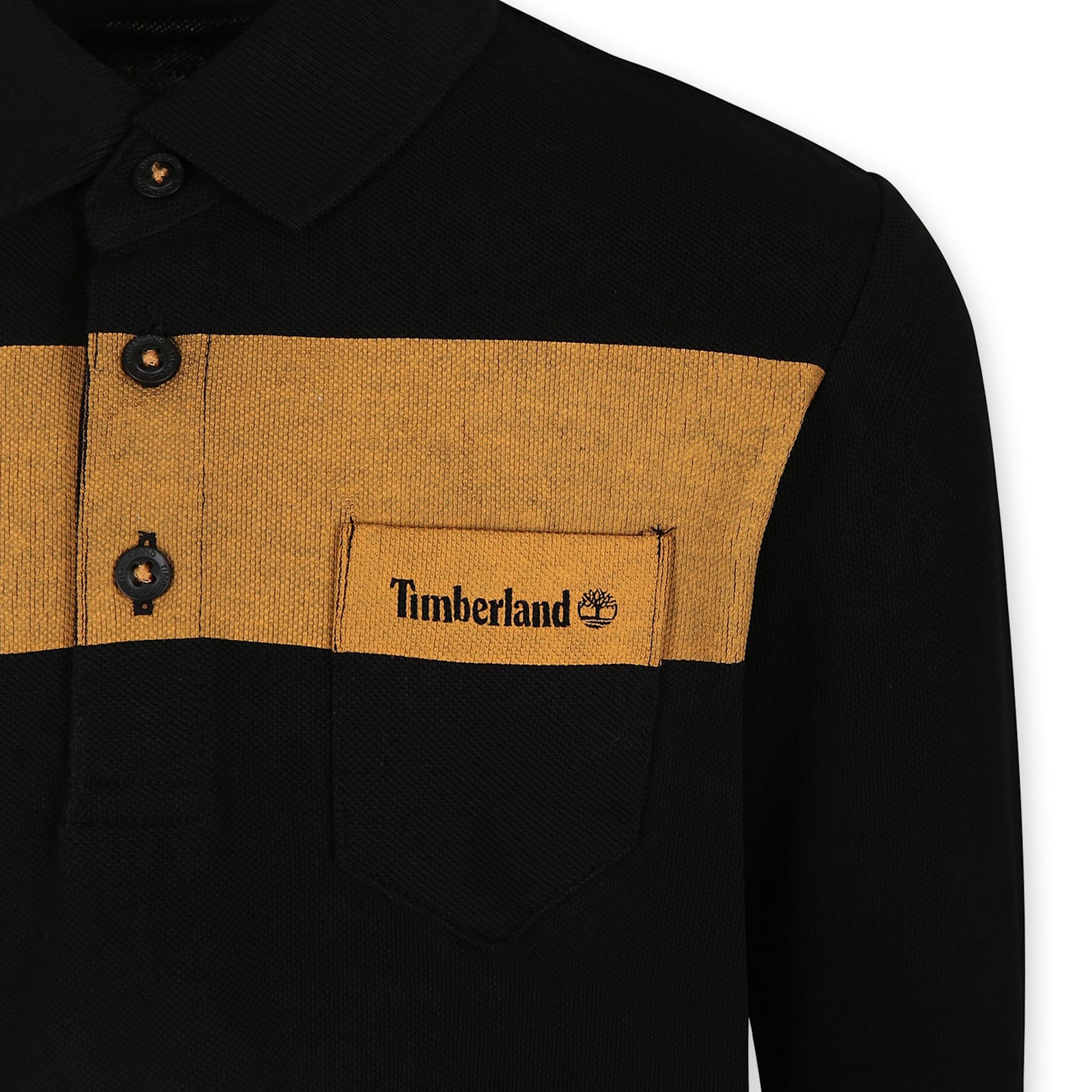 Timberland Black Polo Shirt For Boy With Logo In Black