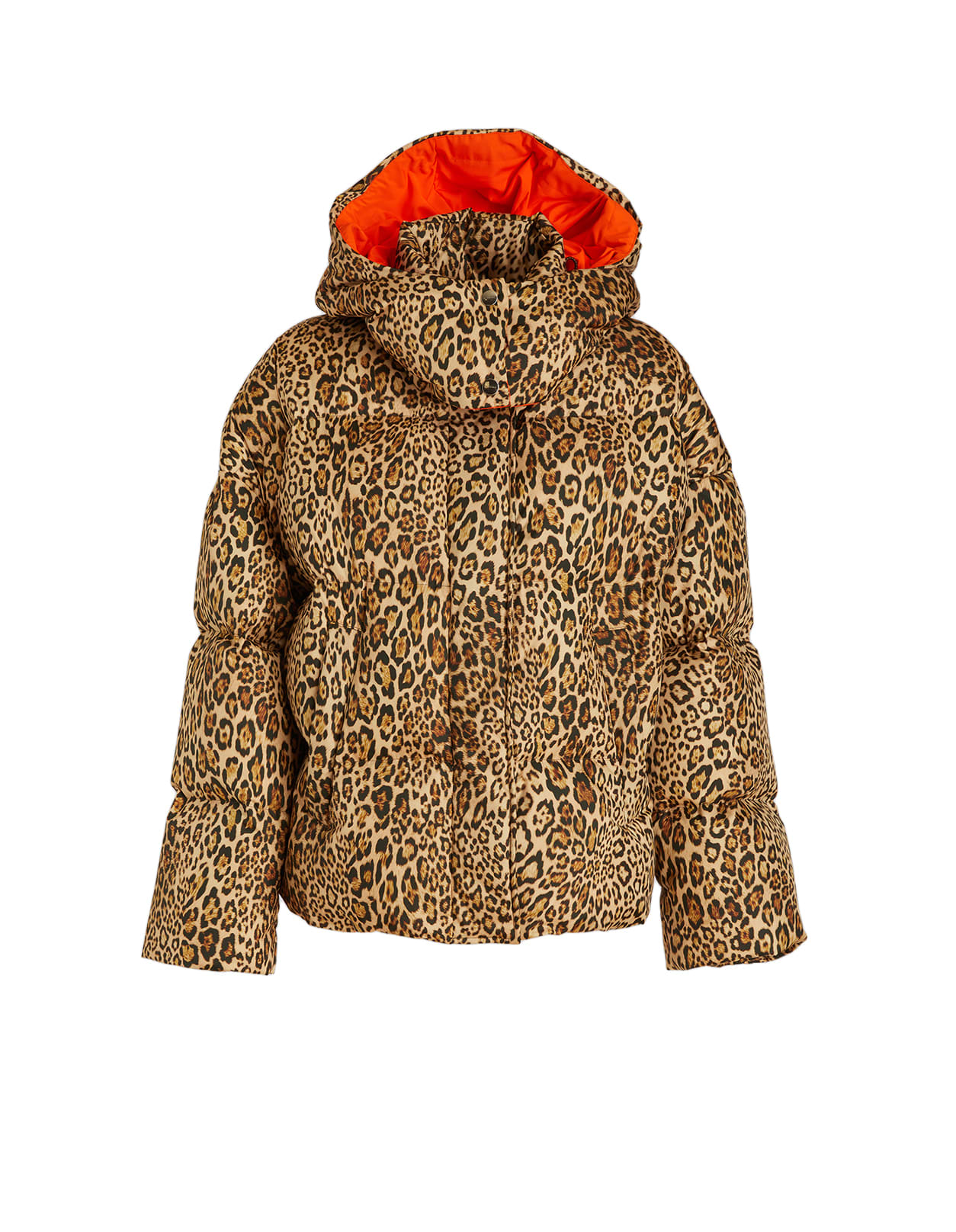Etro Woman Short Leopard Down Jacket