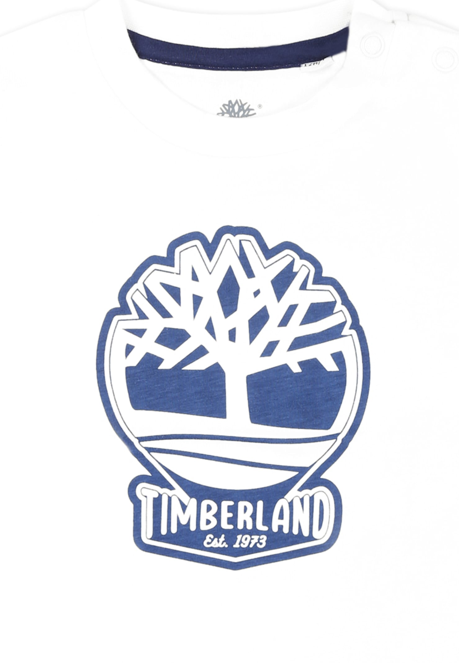 Timberland White T-shirt For Baby Boy With Tree