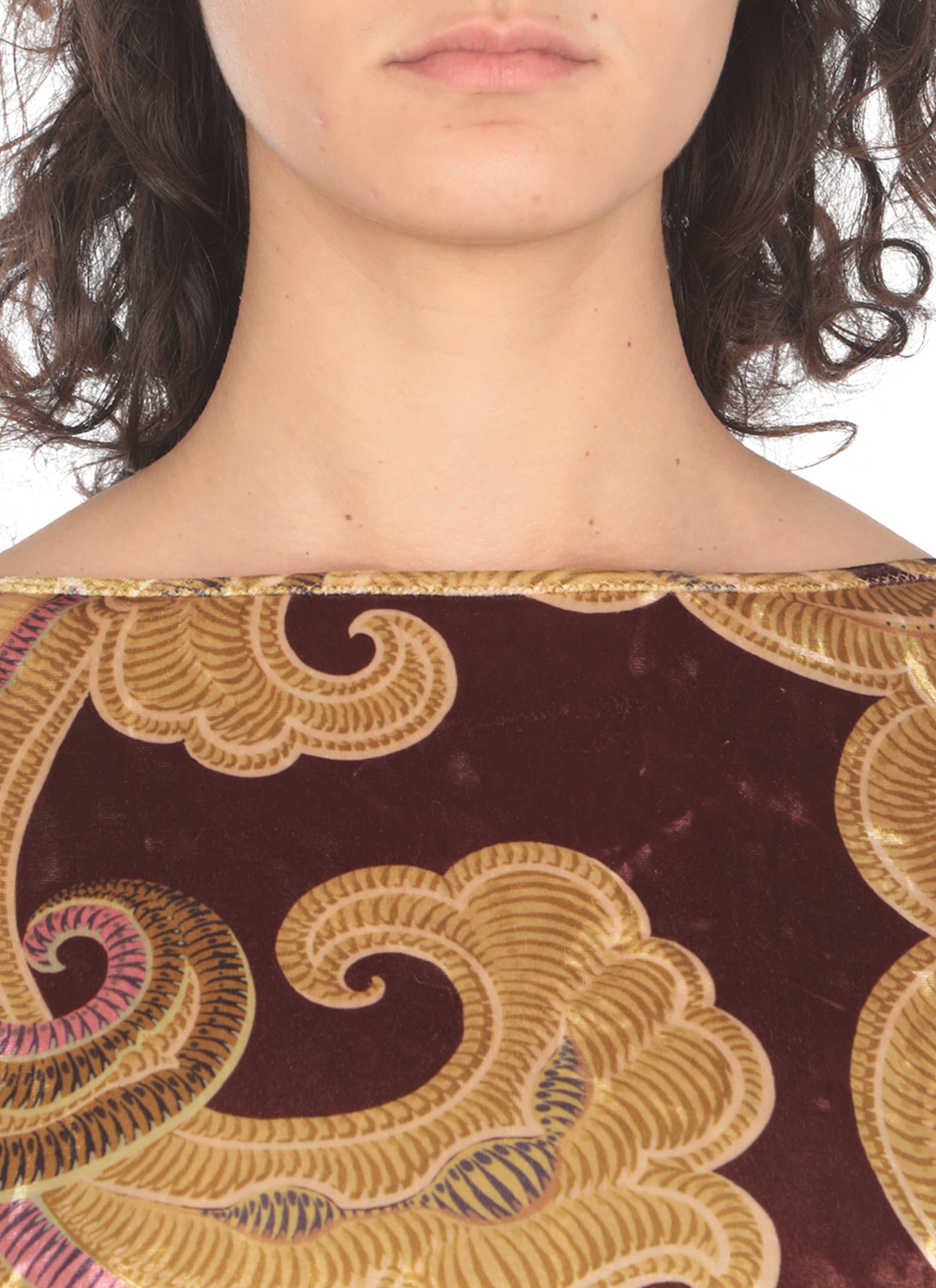 Shop Etro Velvet Dress In Brown