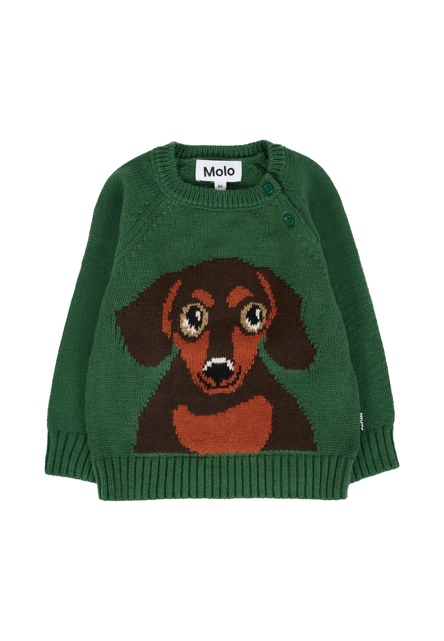Molo Green Sweater For Babykids With Dog In Green