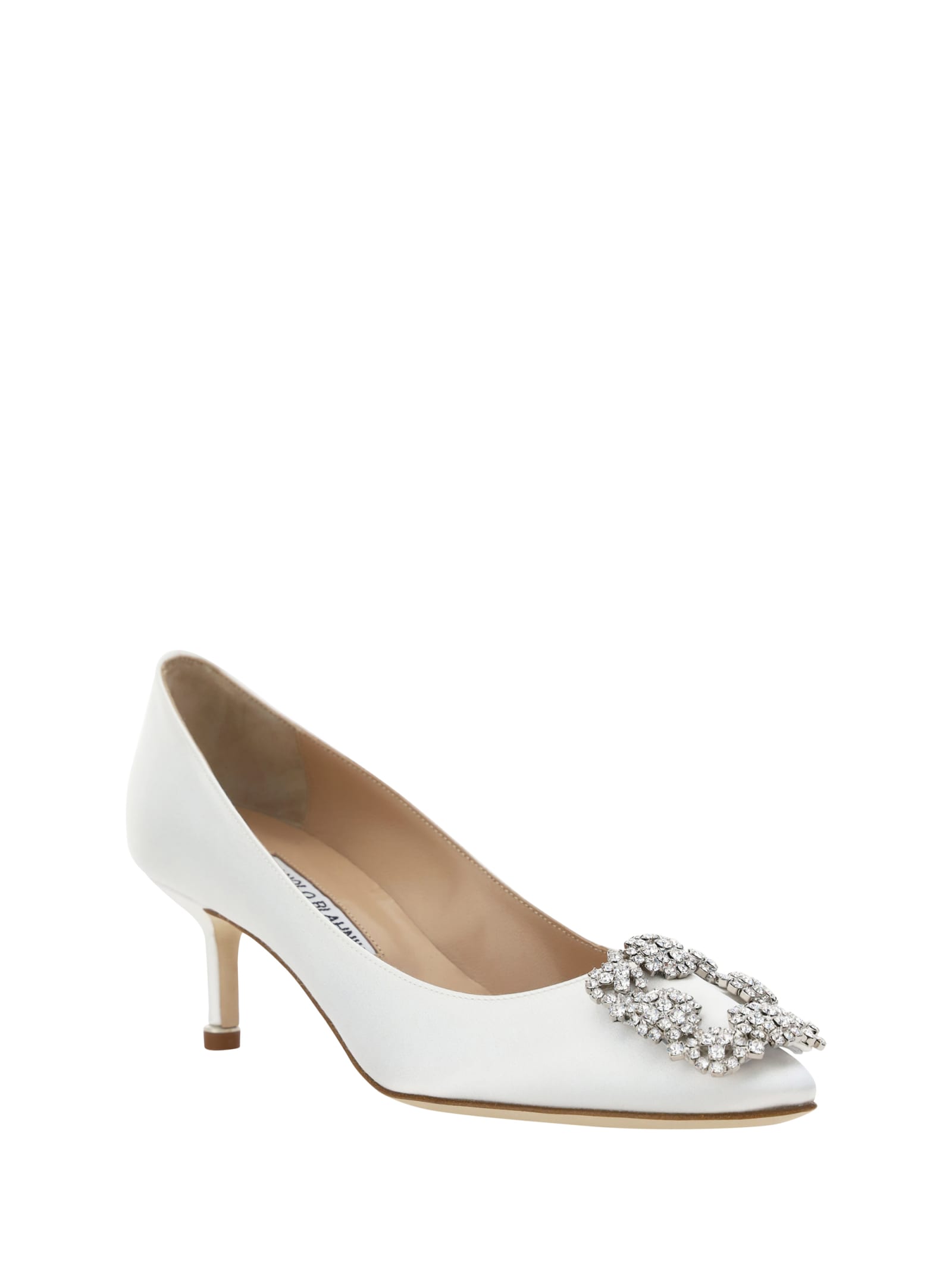 Shop Manolo Blahnik Hangisi Pumps In Mcrm