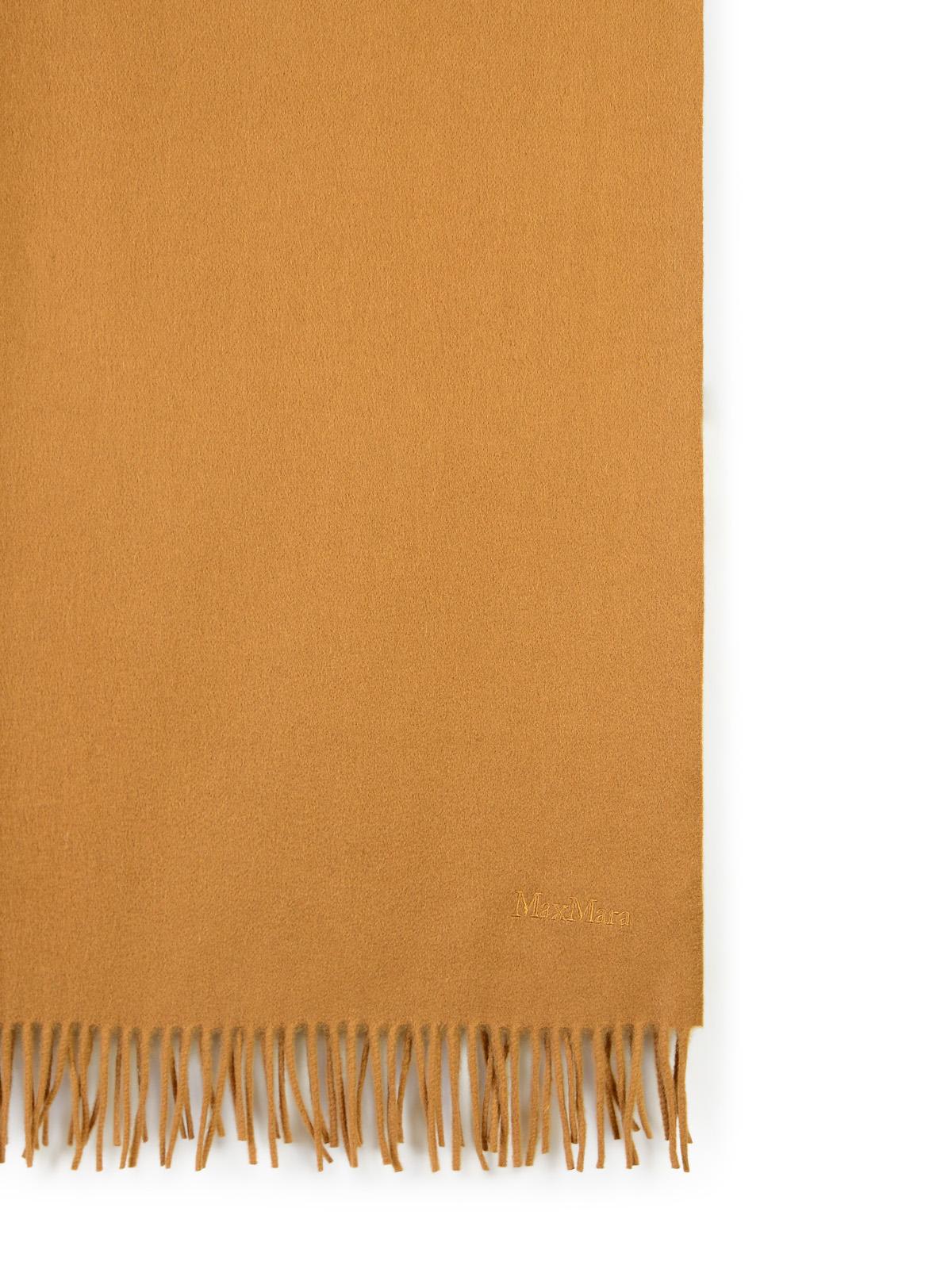 Shop Max Mara Baci Light Brown Chasmere Scarf