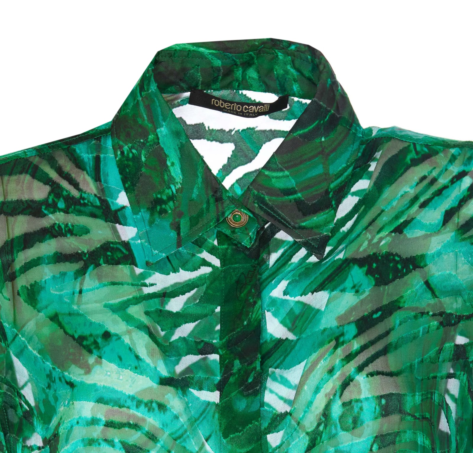 Shop Roberto Cavalli Shirt In Green