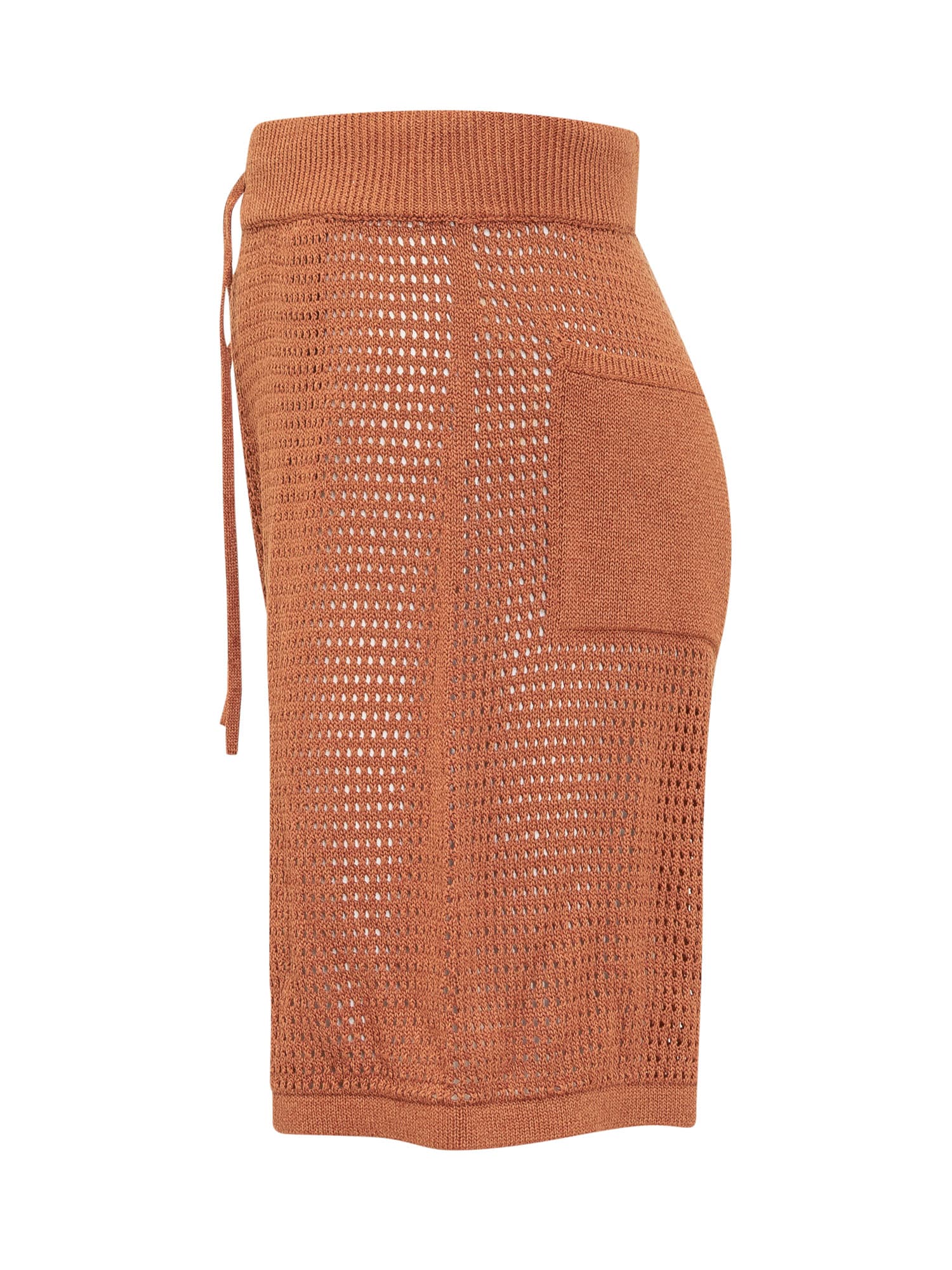 Shop Nanushka Fico Shorts In Rust