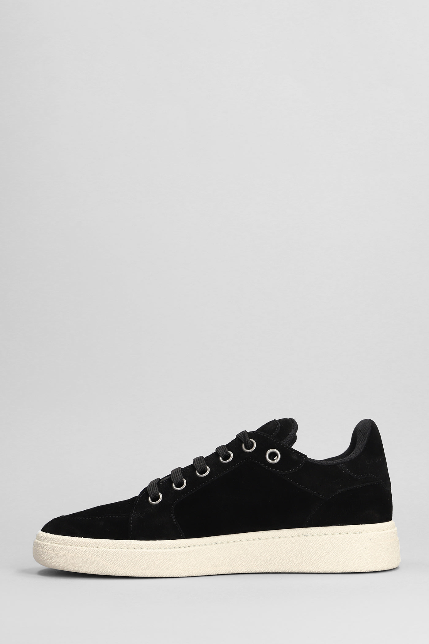 Shop Giuseppe Zanotti Gz95 Sneakers In Black Suede