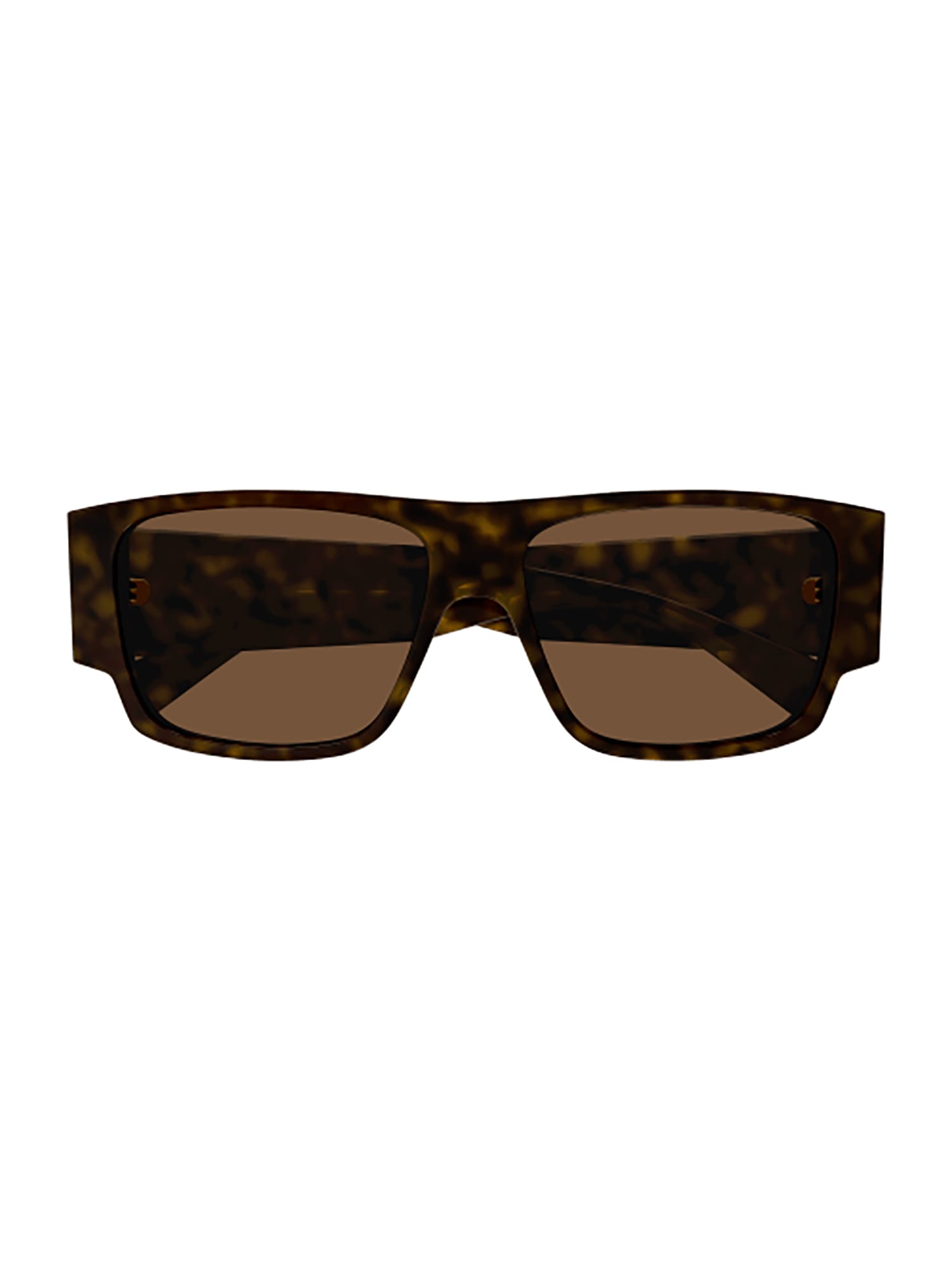 Shop Bottega Veneta Bv1286s Sunglasses In Havana Havana Brown