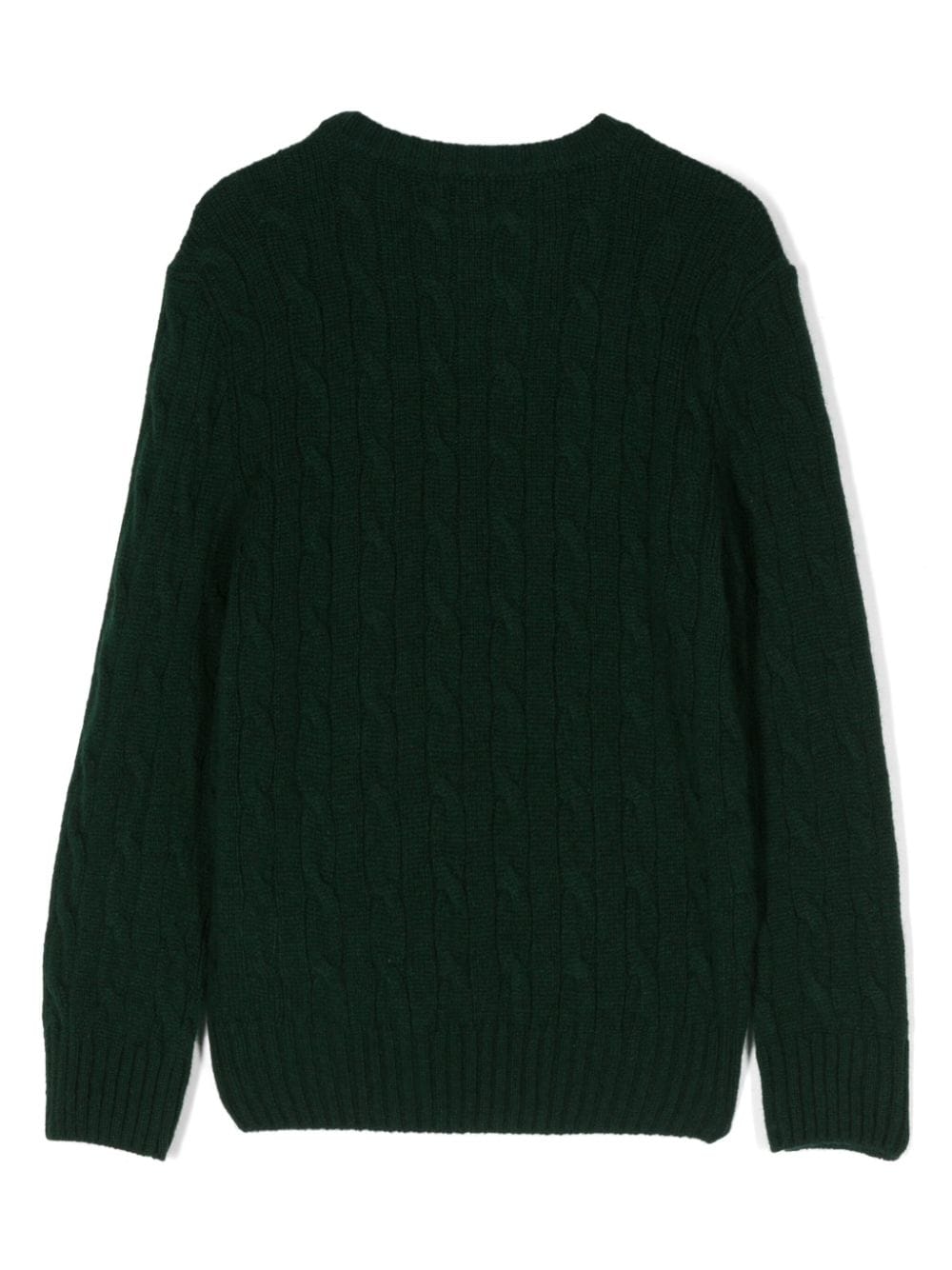 Shop Polo Ralph Lauren Ls Cn Po Sweater Pullover In Moss Agate Harv Wine Pp