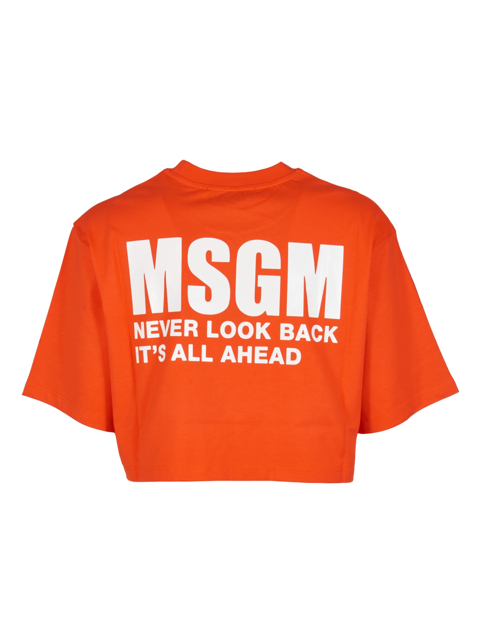 Msgm Logo Cropped T-shirt In Bright Red