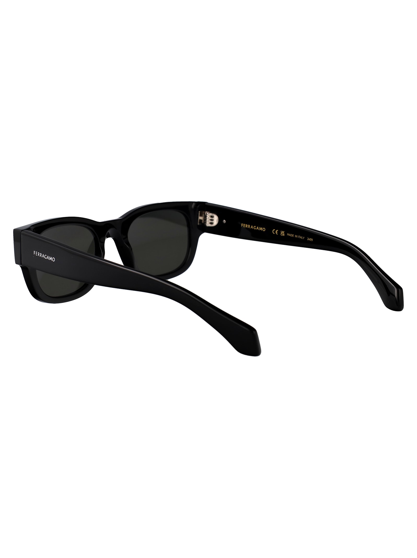 Ferragamo Sf2064se Sunglasses In Black