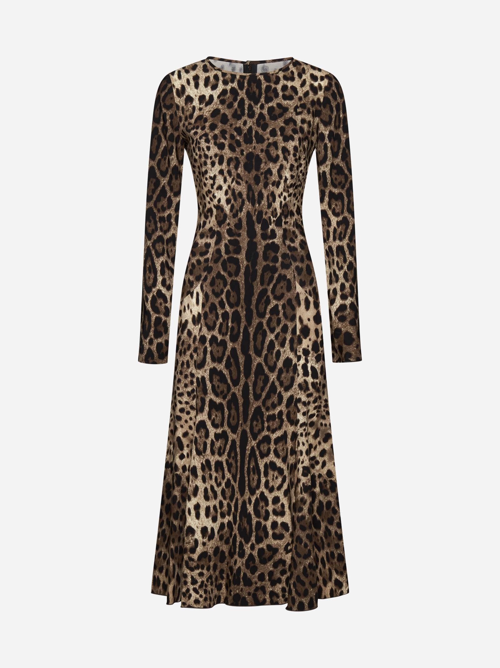 Shop Dolce & Gabbana Leopard Print Viscose Dress In Brown