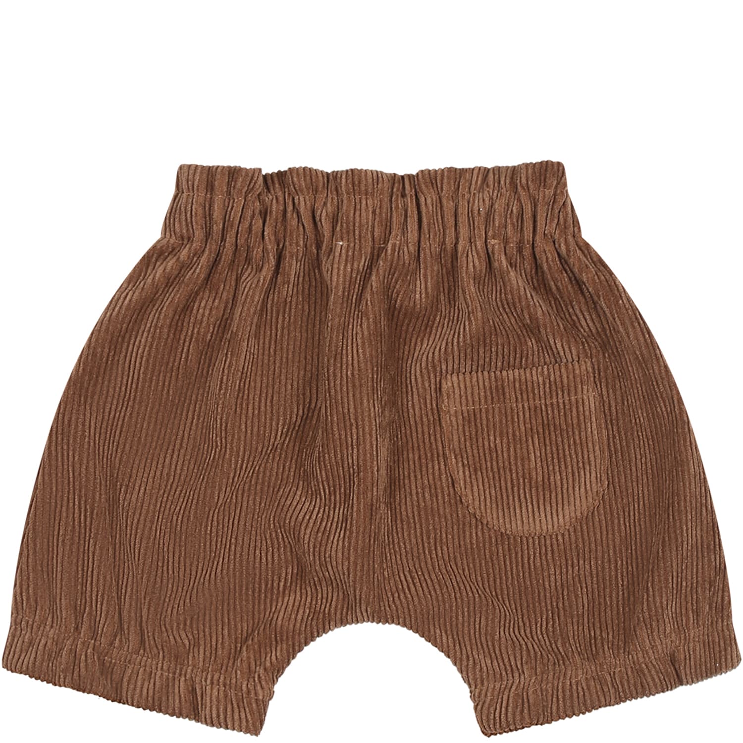 Shop Caffe' D'orzo Brown Shorts For Baby Girl