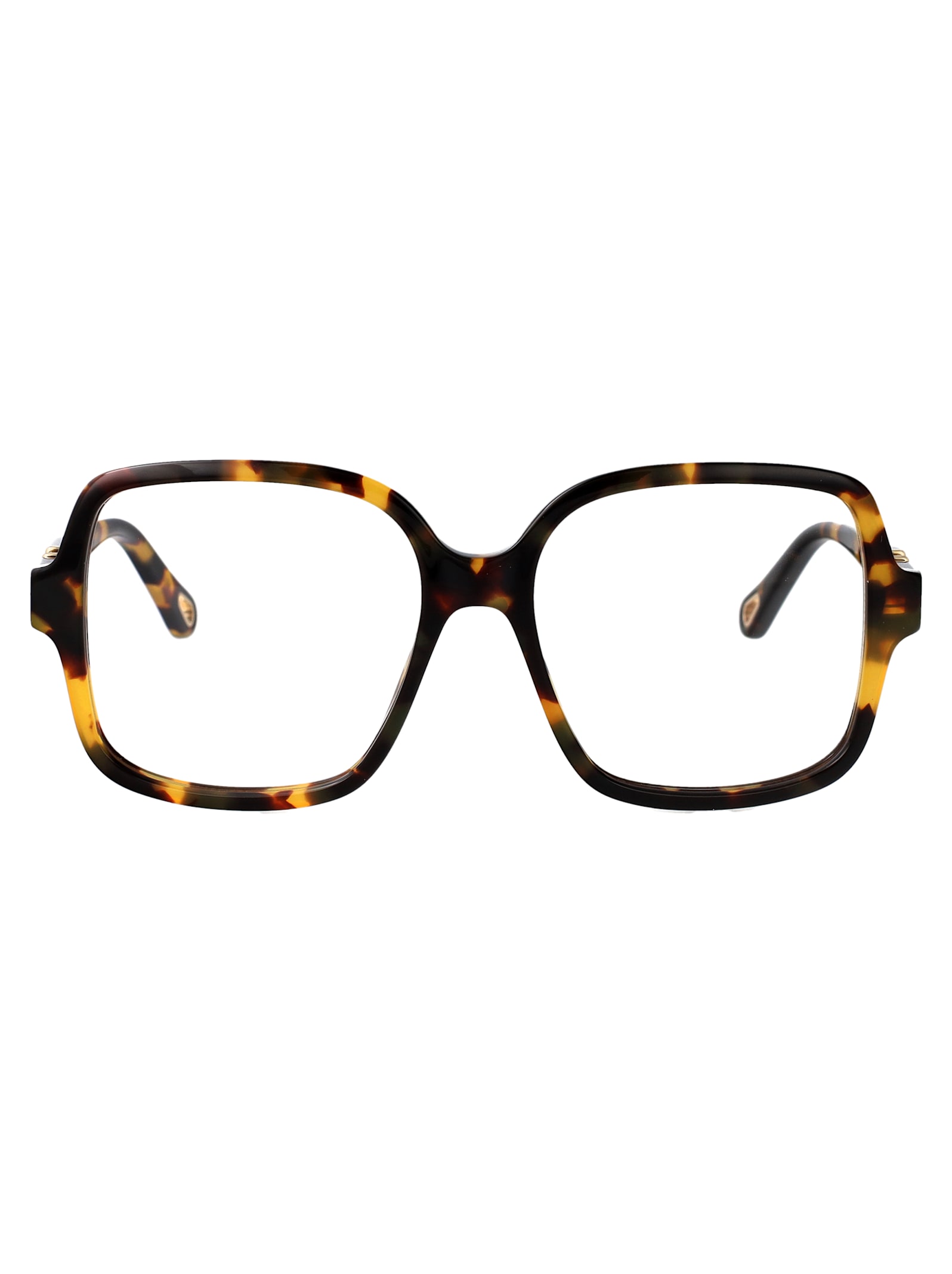 Chloé Eyewear Ch0335o Glasses
