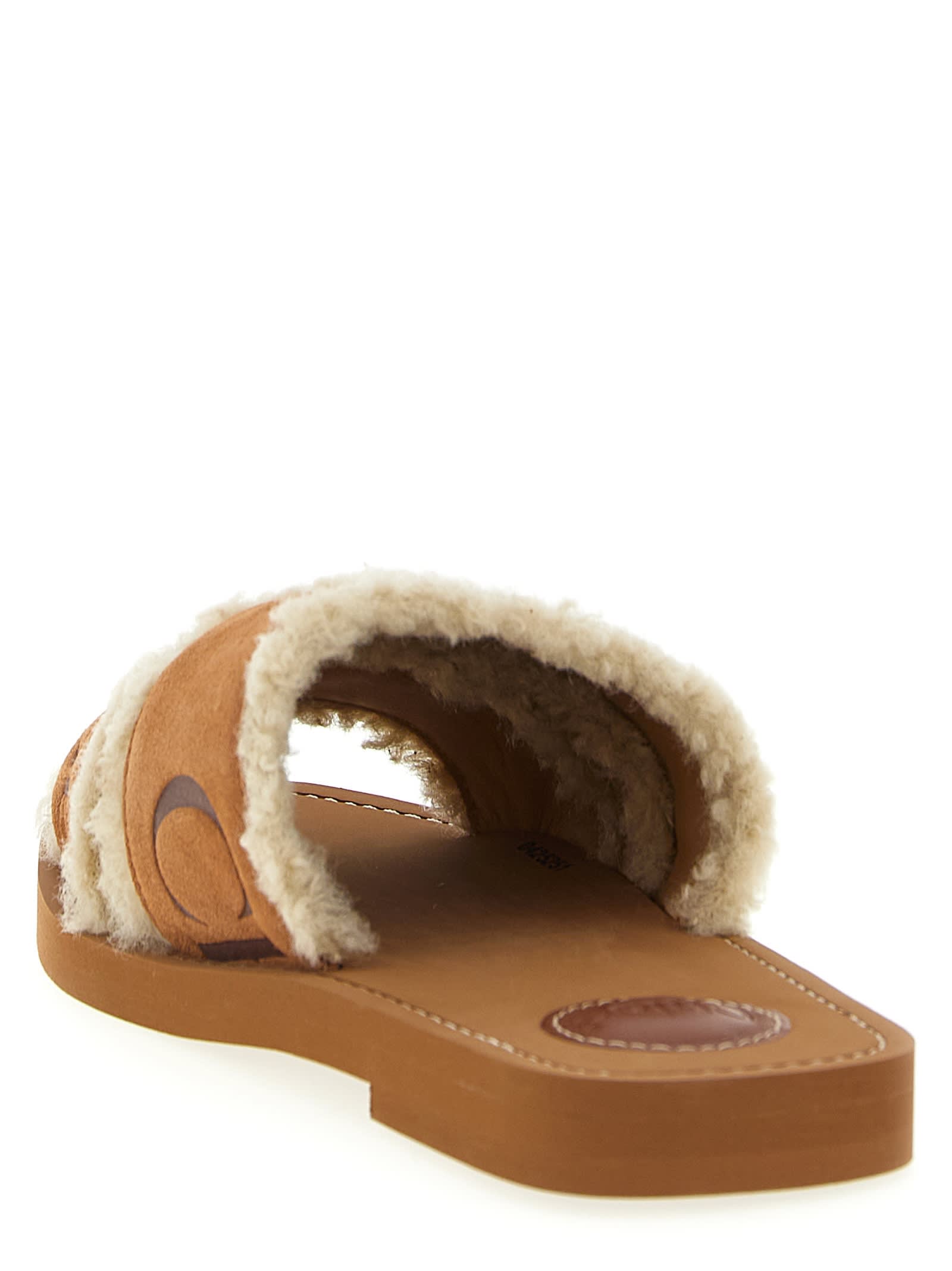 Chloé Chloe' Women Woody Sandals In Brown