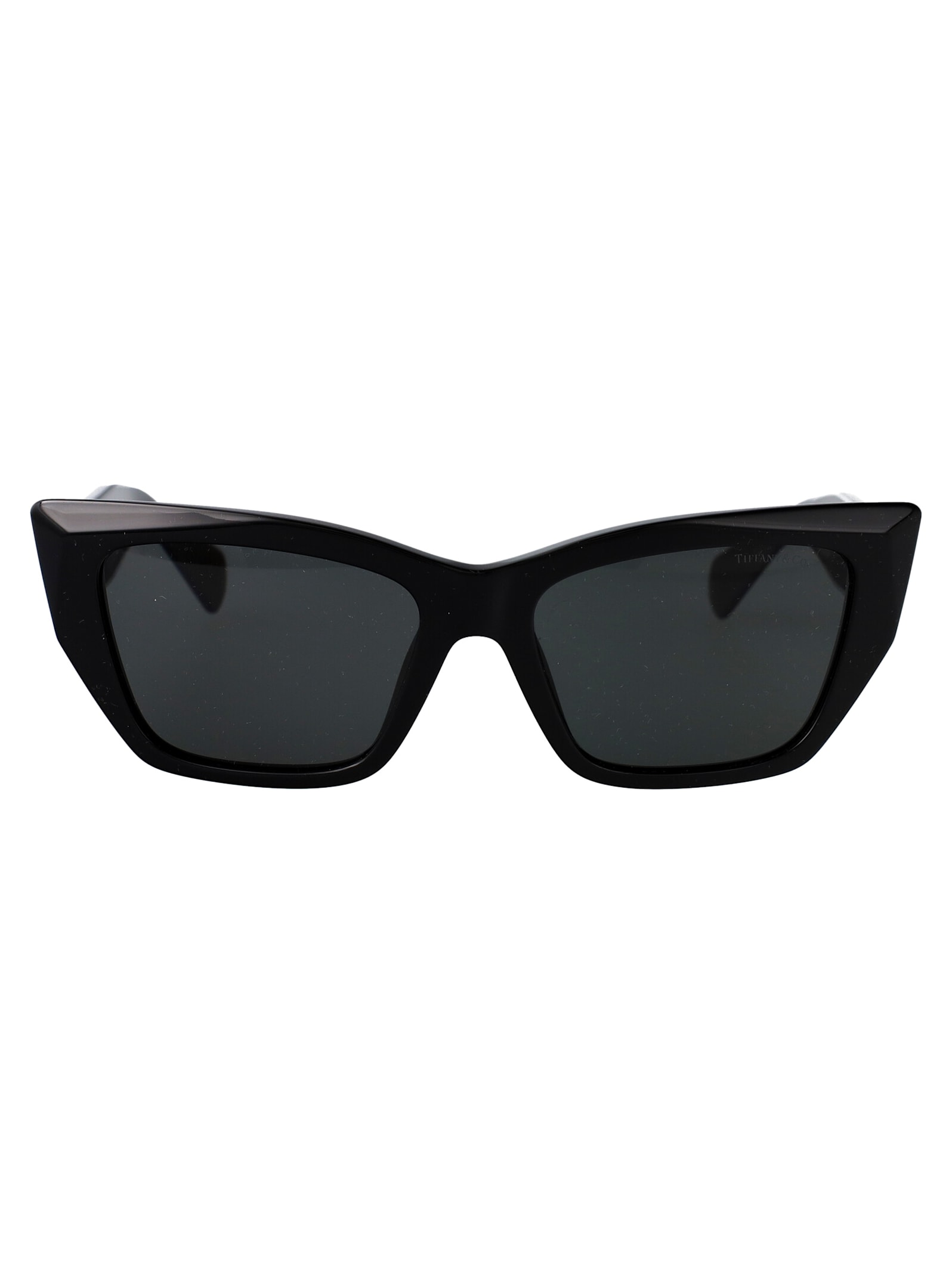 0tf4230 Sunglasses