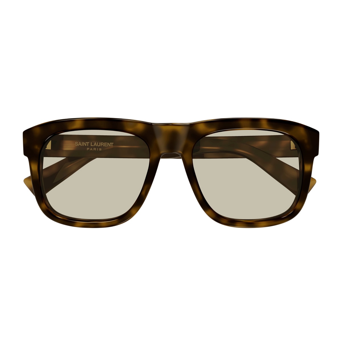 Saint Laurent Sl 558 Sl Logo 013 Havana Brown Sunglasses