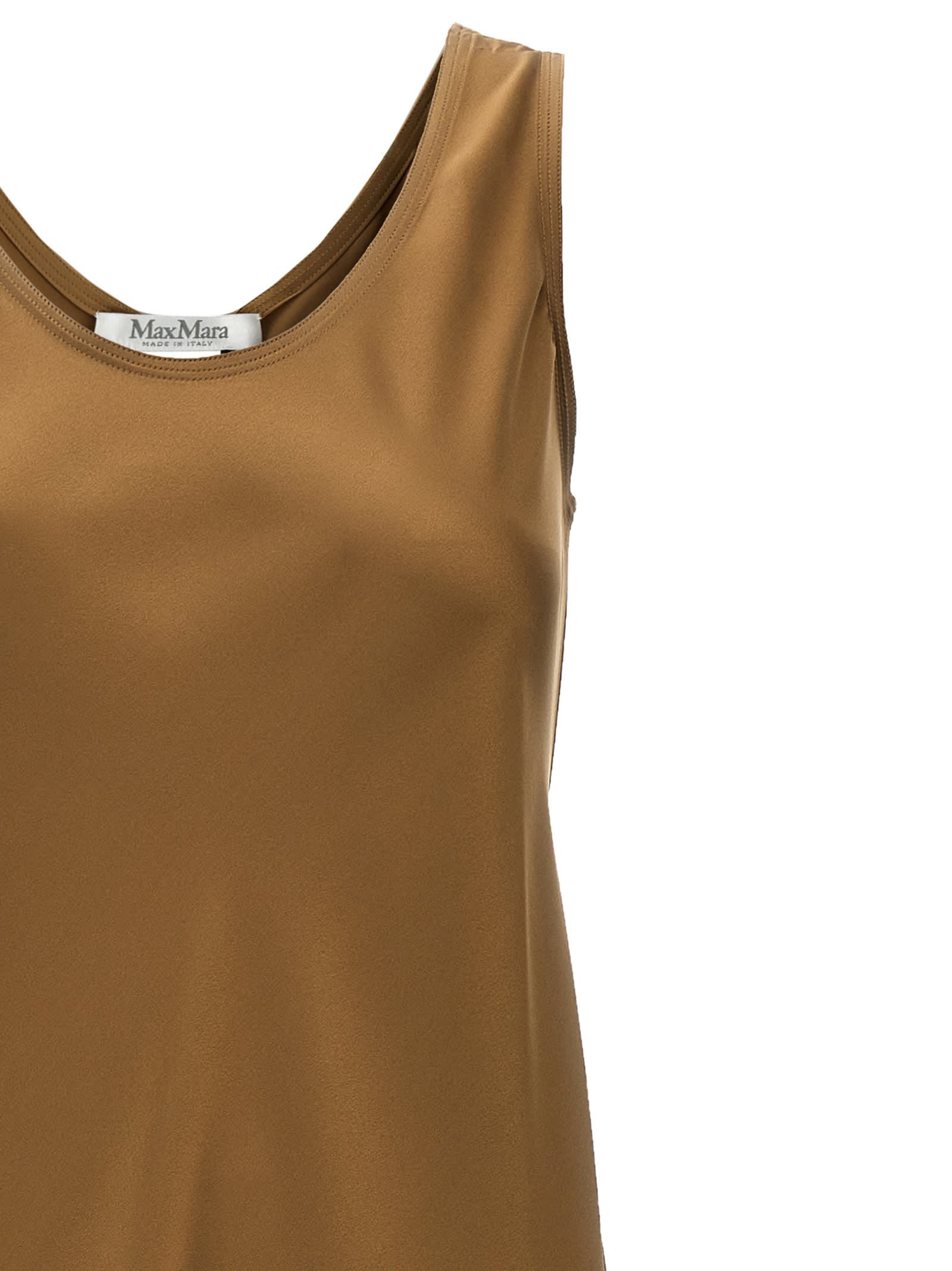 Max Mara Brown Banio Dress In Brown