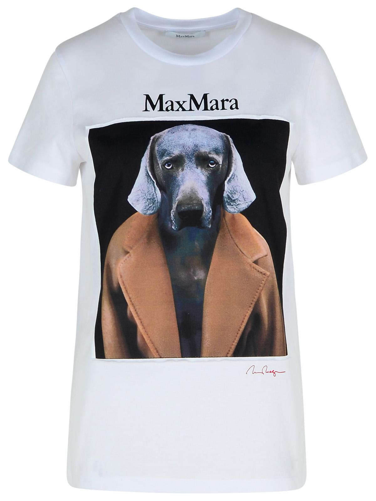 Shop Max Mara Cipria White Cotton T-shirt In Brown