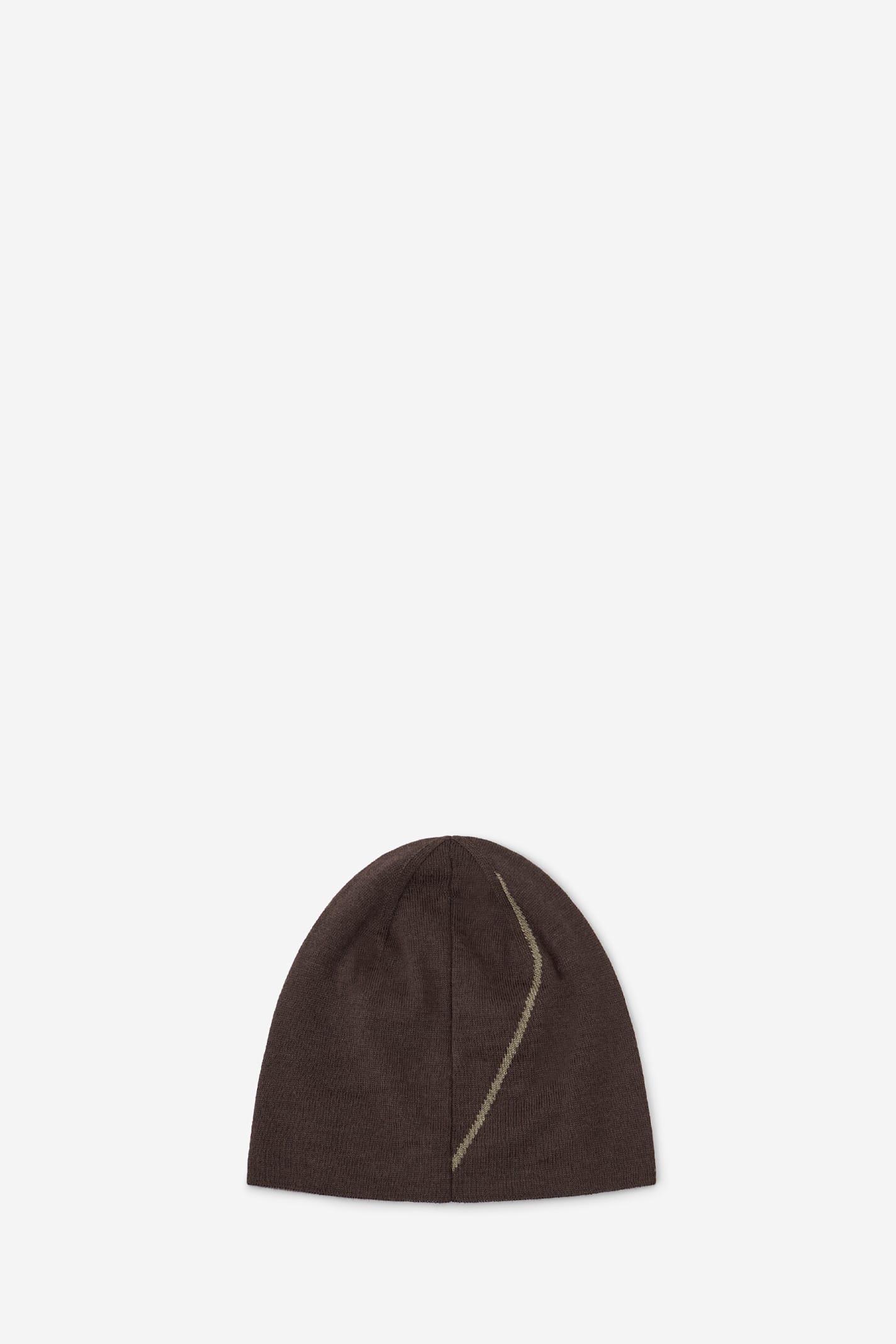 Roa Logo Hats In Brown