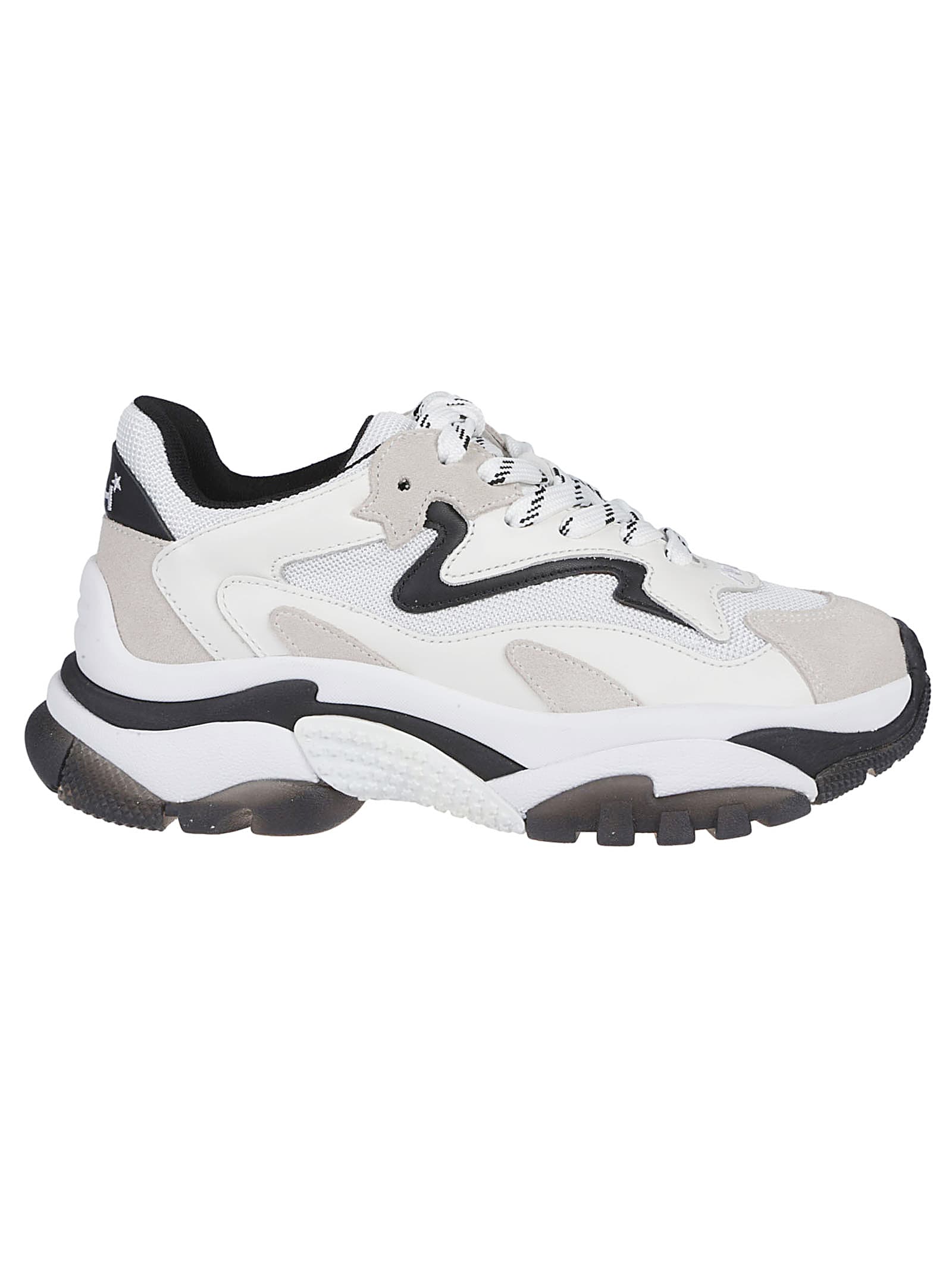 Ash Addict Sneakers