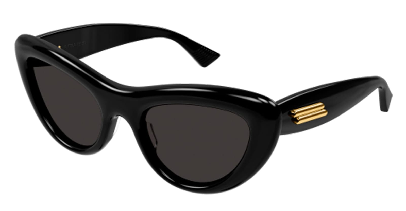 Bottega Veneta Curvy Acetate Cat-eye Sunglasses In Black