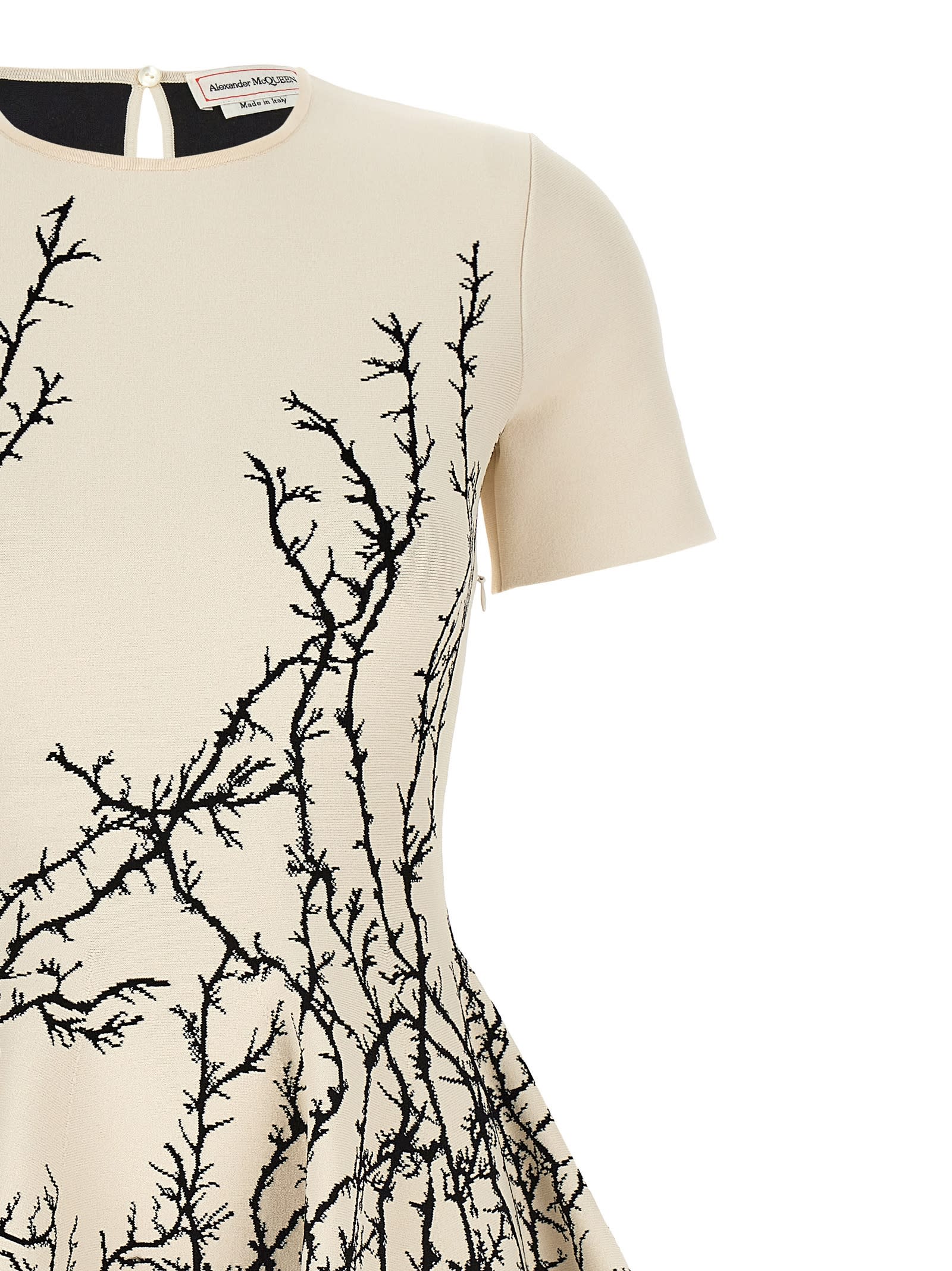 Shop Alexander Mcqueen Thorn Dress In Ivory