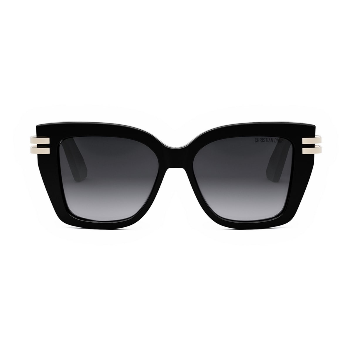 Cdior S1i 10a1 Sunglasses