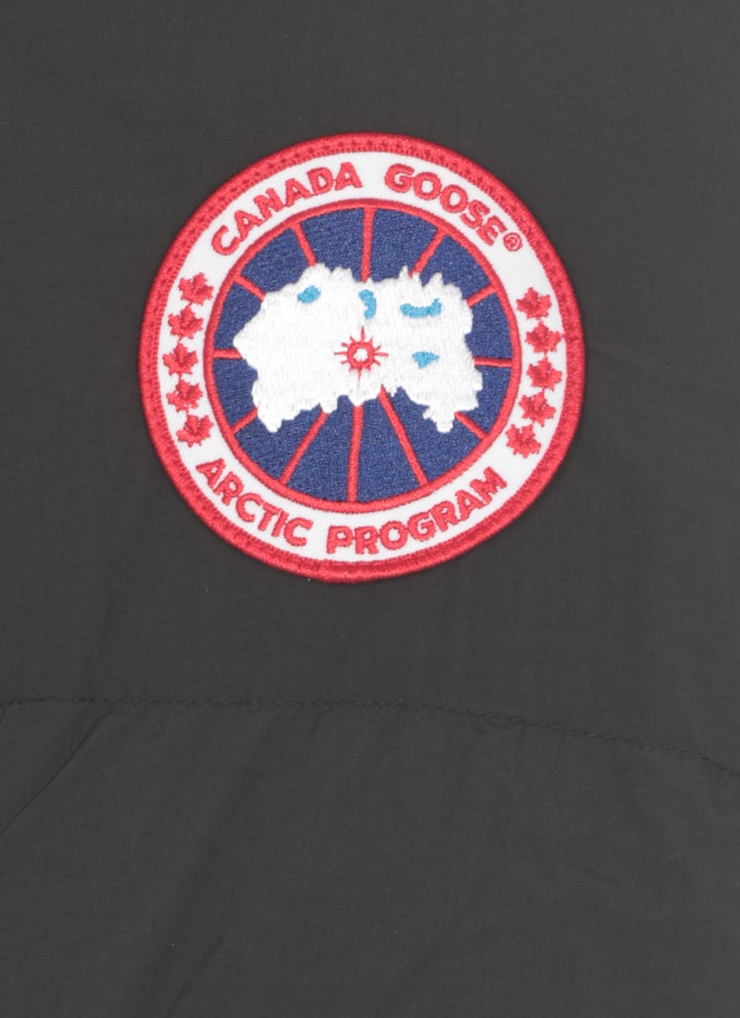 Shop Canada Goose Lawrence Puffer Down Jacket In Black