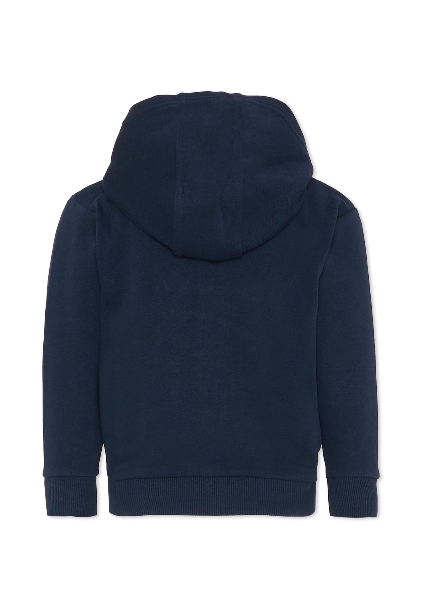 Timberland Blue Sweatshirt For Boy With Tree Print In Blue