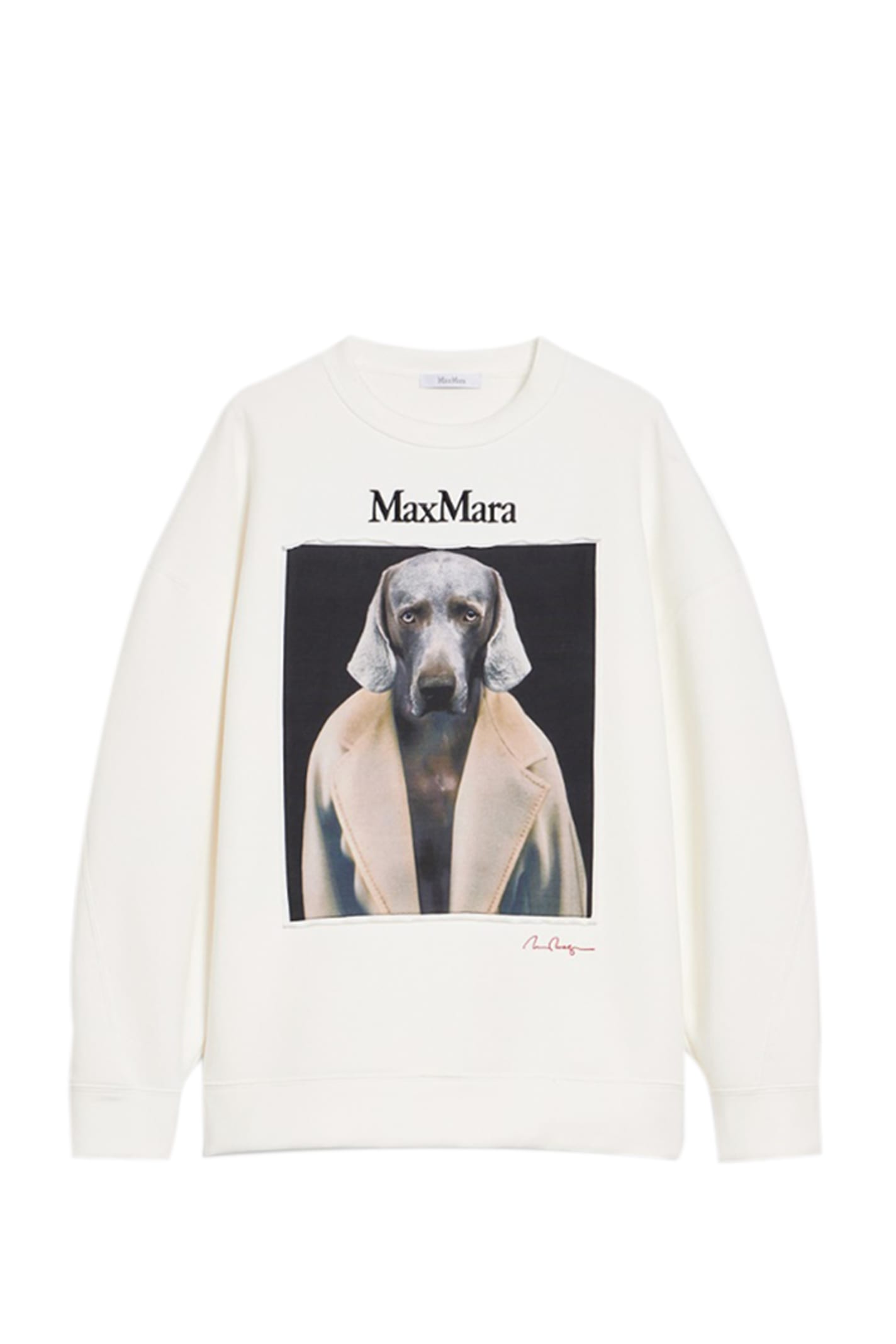 Shop Max Mara Bacco Sweatshirt In White