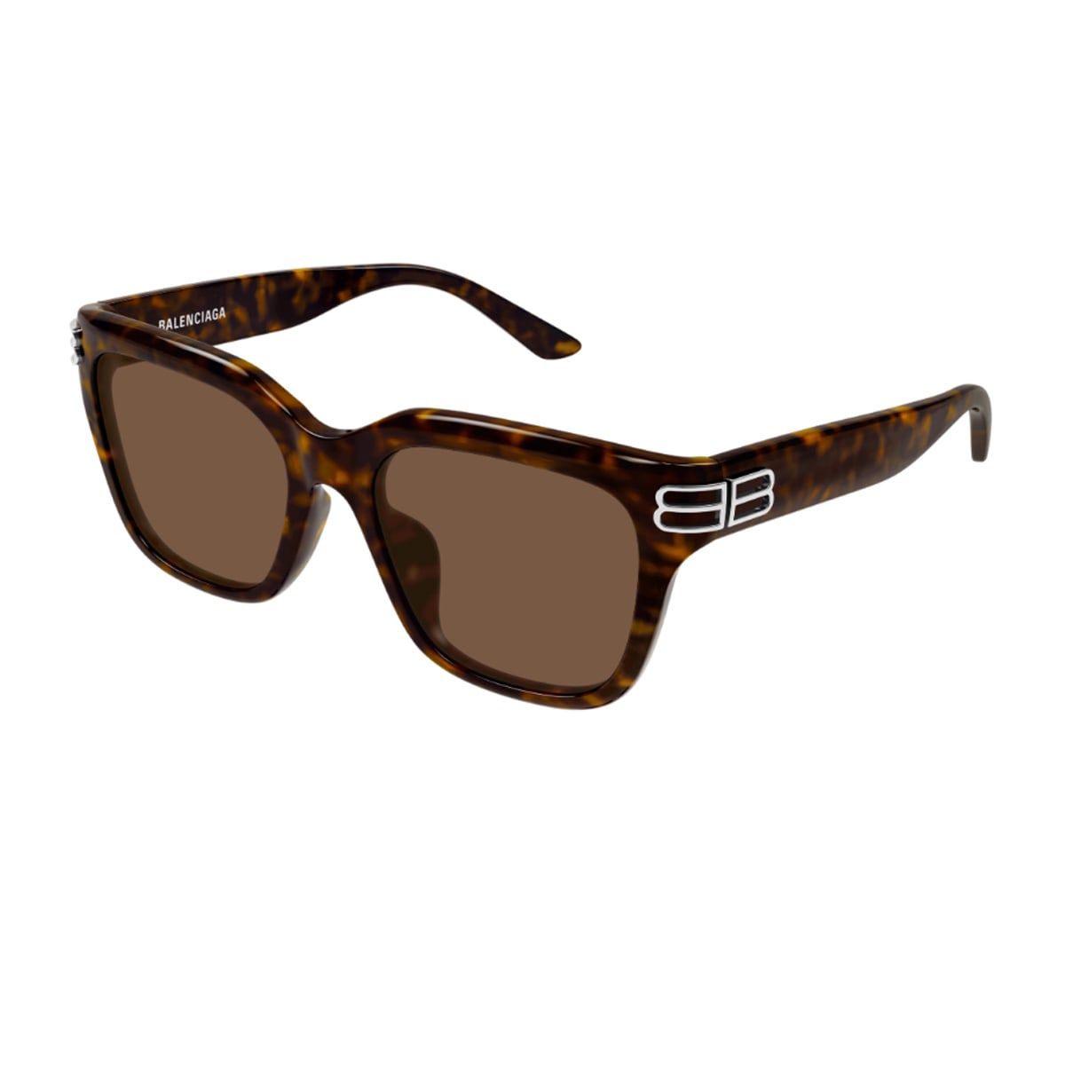 Balenciaga Bb0433sk Linea Everyday 002 Havana Brown Sunglasses In Brown