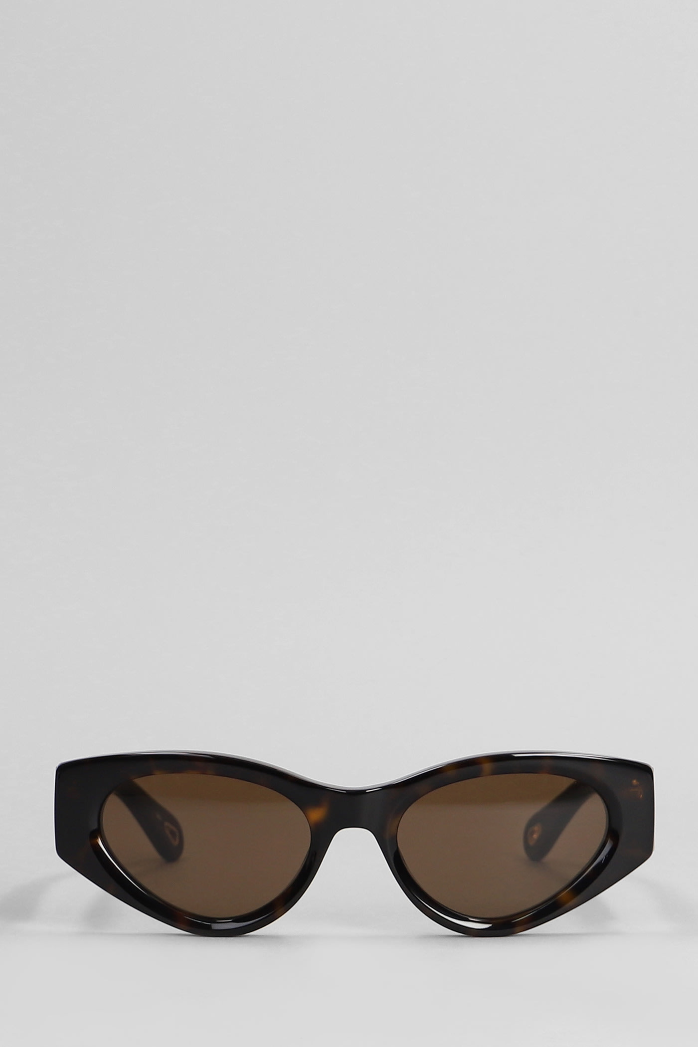 Chloé Sunglasses In Brown Acetate In Brown